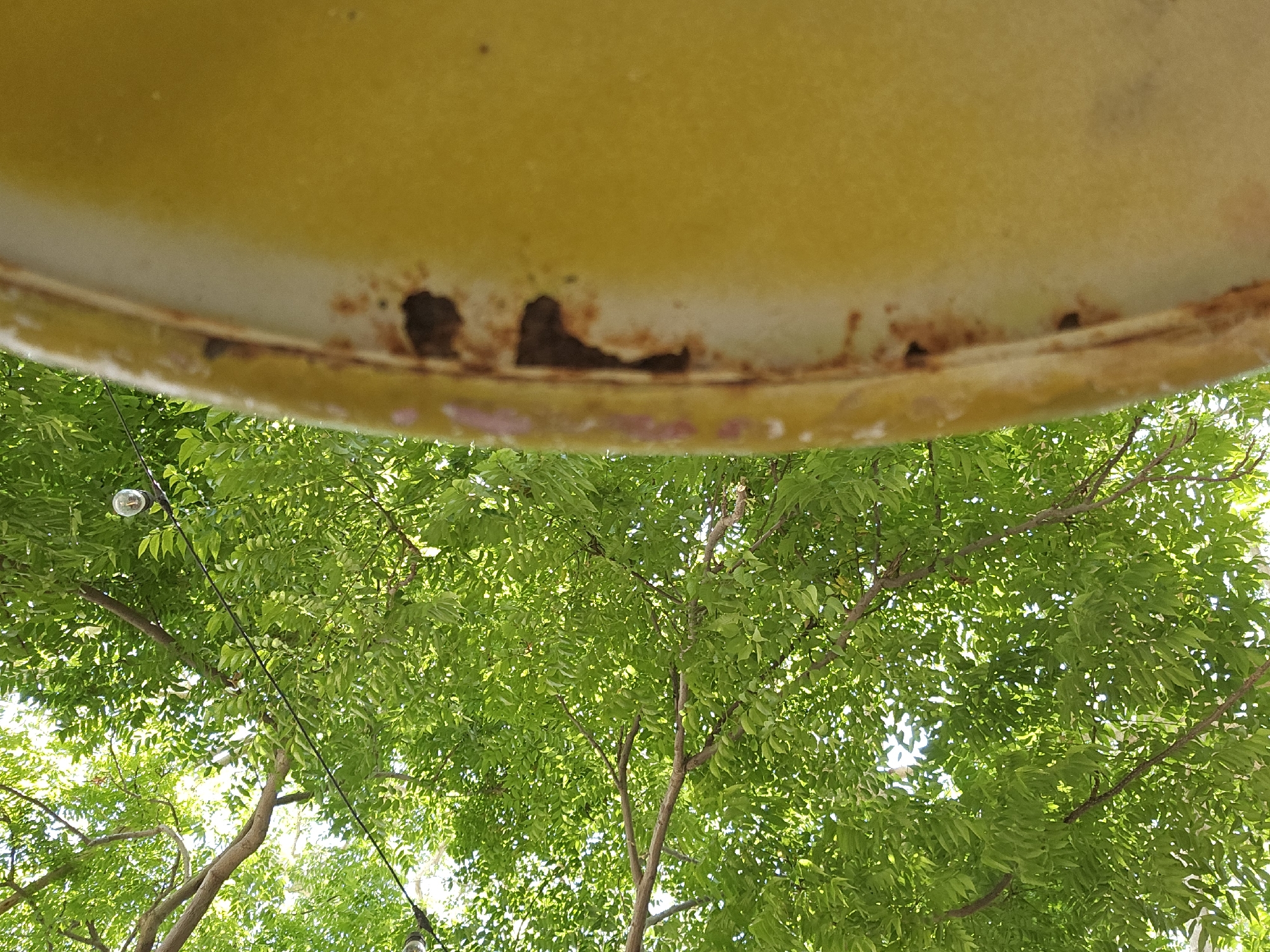 The image captures a low-angle view looking upwards towards a canopy of lush green leaves and tree branches, interspersed with bright sunlight. A string of clear, round light bulbs is visible, attached to a dark wire that runs horizontally across the frame. The foreground is dominated by a close-up of a weathered, yellow, circular object, likely a lid or a part of some equipment. This object shows signs of rust and degradation along its edge, with patches of exposed metal and dark holes indicating decay. The overall impression is one of outdoor illumination and the effects of time on man-made objects amidst natural foliage. The image's composition and subject matter do not provide specific visual cues to pinpoint a location within Tel-Aviv, Israel.