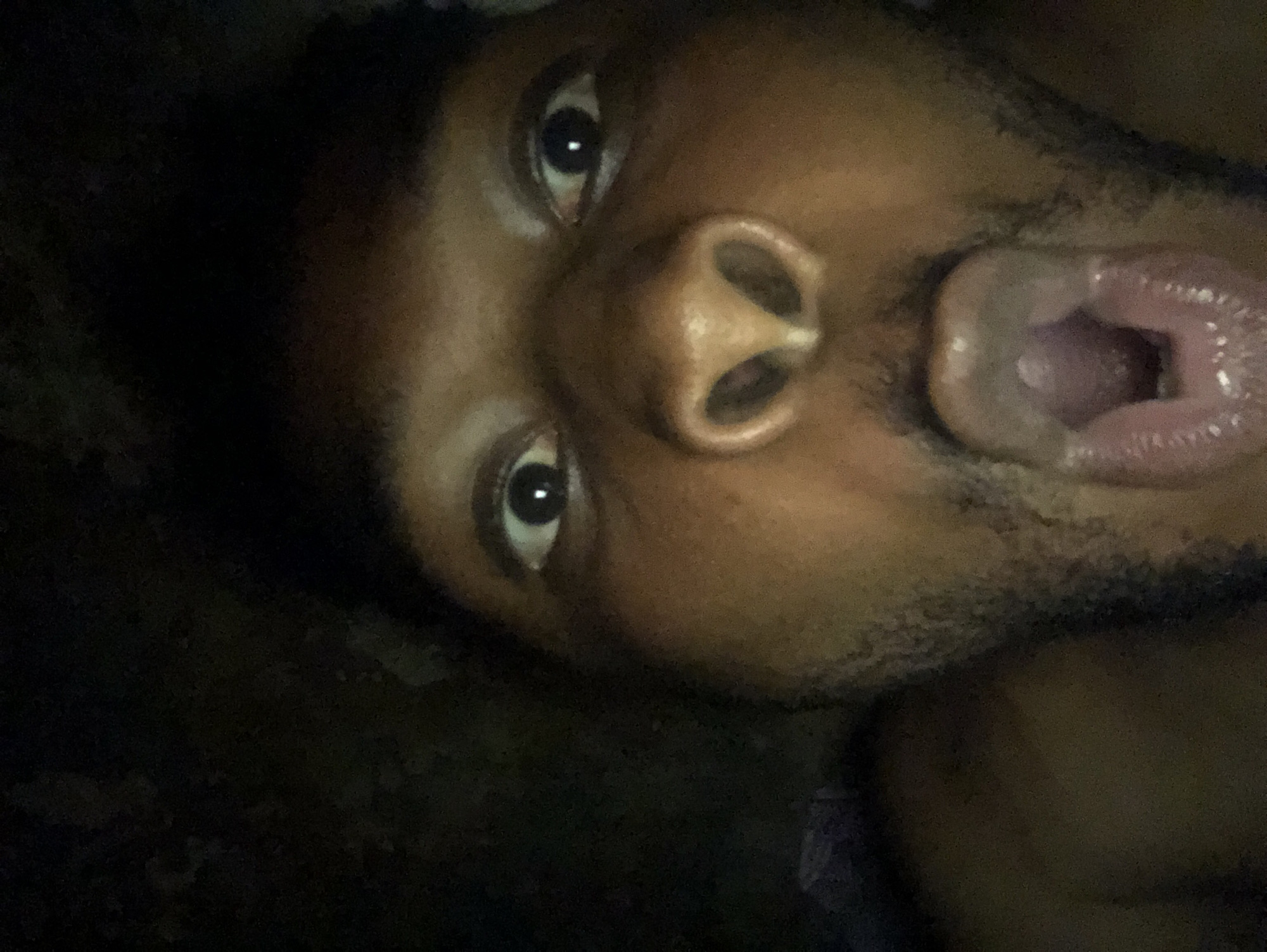 A close-up, underexposed selfie of a dark-skinned person with their mouth open, looking upwards. The person has brown eyes, a wide nose, and a slight beard. The background is dark and indistinct.