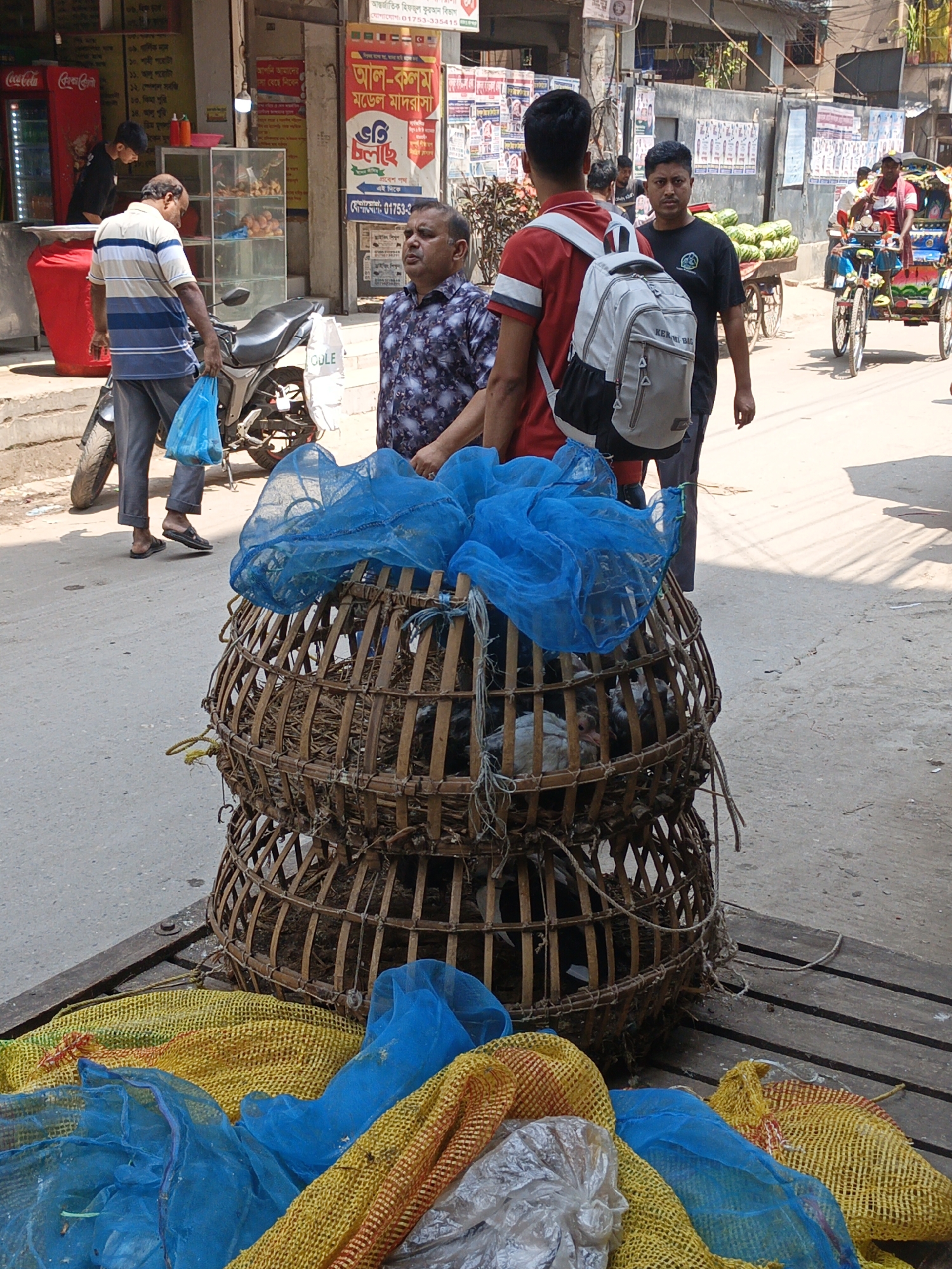 The image depicts a bustling street scene in Dhaka, Bangladesh. The foreground features two stacked, woven chicken coops containing chickens, secured with blue netting. These sit on a wooden platform. Scattered around the base are yellow and orange netting bags and a clear plastic bag.
Several people are present. A man in a blue and white striped shirt carries a blue plastic bag, while another man in a patterned shirt stands next to a younger man in a red shirt with a gray backpack. Further back, a man in a black shirt walks down the street.
In the background, a motorcycle is parked. Street vendors sell food from stalls and watermelons from carts. A rickshaw is visible in the distance. Storefronts display advertisements written in Bengali. Signs for Coca-Cola and the "Al-Kalam Model Madrasa" are visible.