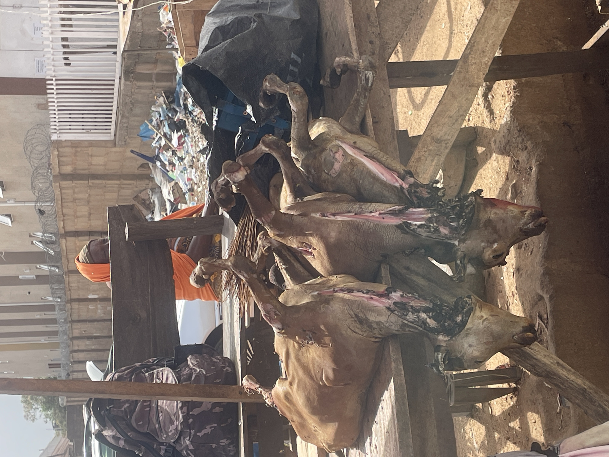 The image shows three skinned animal carcasses hanging from a wooden frame in an outdoor environment. The animals appear to be goats or sheep. The heads are still attached, and there is evidence of blood and tissue on the exposed flesh.
In the background, there is a building and a pile of garbage. A person wearing an orange head covering stands in the background. In the lower left corner, there are backpacks. The location is in the city of Jos, Nigeria.