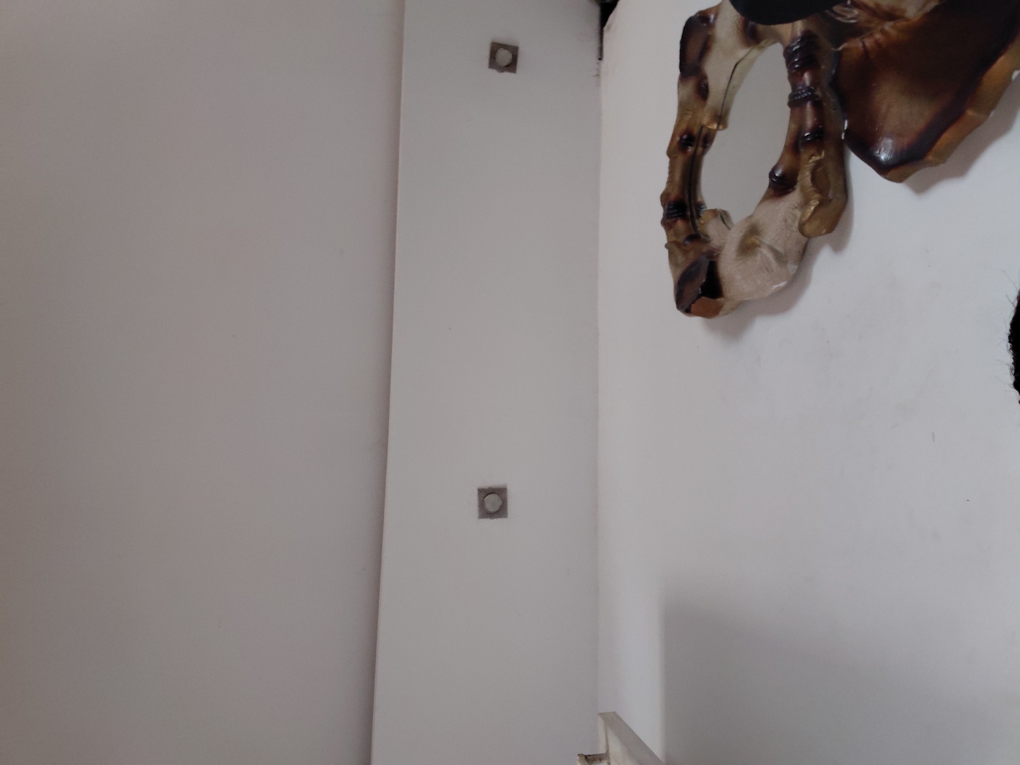 The image displays an interior corner of a room, featuring plain walls and a distinctive decorative object. On the right, against a white wall, hangs an ornate, organic-shaped decorative mirror or wall art piece. Its frame is sculpted with rich dark brown and lighter beige or off-white sections, creating a textured, possibly gnarled or bone-like appearance that frames a reflective surface.
A white vertical column is positioned towards the center-left, marking the junction between the white wall on the right and a lighter gray wall on the far left. Embedded within this white column are two square fixtures, one higher up and one lower, each containing a circular, possibly metallic, element in its center. These could be small lights or electrical outlets. The wall on the extreme left is uniformly light gray. The lighting suggests an indoor environment, with no explicit time of day or weather conditions indicated. There are no people visible, and no specific activity is occurring. No text is visible within the frame. The scene provides a static view of a decorated space in Santa Ana, Venezuela.