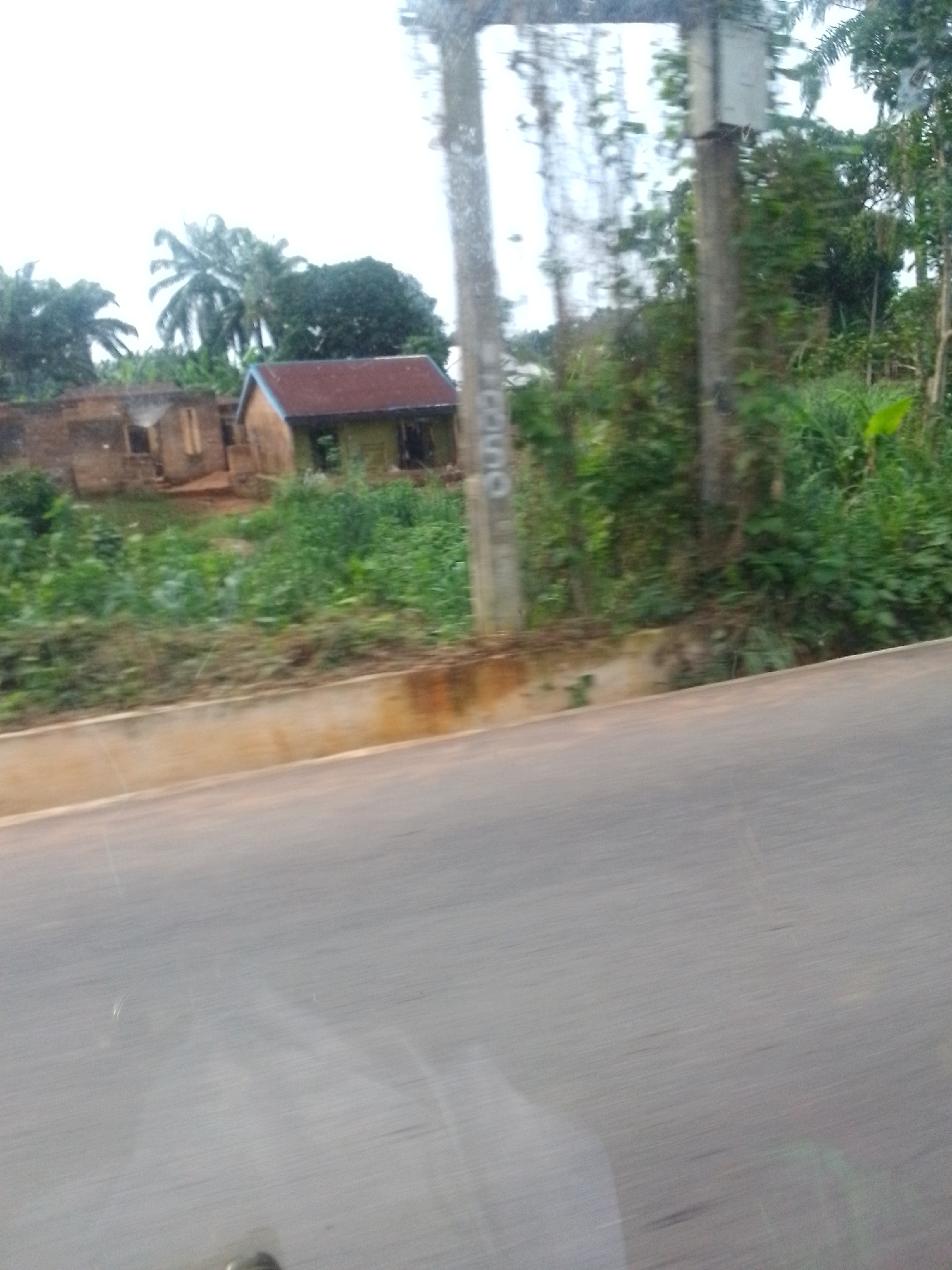 The image shows a roadside scene in Mgbidi, Nigeria. A paved road is in the foreground. Beyond the road and a low concrete barrier is a grassy area with dense vegetation. In the background are two simple, one-story buildings. One building appears dilapidated with partial walls and openings where windows or doors would be. The other has a red roof and green exterior. Palm trees and other dense foliage are also visible in the background. A utility pole is prominent on the right side of the frame. The sky is overcast. The image appears to have been taken from a moving vehicle.
