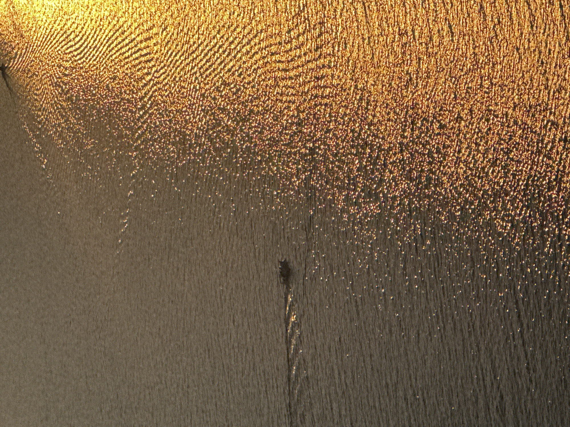 The image shows a body of water, likely the sea, with ripples and reflections. On the left side, a small boat is visible moving through the water, leaving a wake. The right side of the image is dominated by the golden, shimmering reflections of sunlight on the water, creating a textured pattern of light and shadow. The overall impression is of a serene natural scene, possibly captured during sunrise or sunset, given the warm, golden light. The location is identified as Pržno, Montenegro.