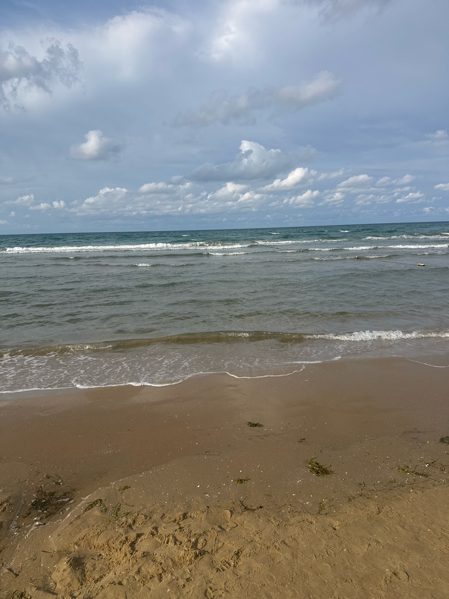 A wide shot captures a sandy beach leading to the sea under a cloudy sky. The sand is wet near the water's edge, with scattered pieces of seaweed and shells. Gentle waves roll onto the shore, creating a white foam line. The sea stretches to the horizon, where it meets the sky. The sky is filled with a mix of gray and white clouds, with patches of blue visible. There are no people or structures visible in the image. This scene appears to be the coast of Anapa, Russia.