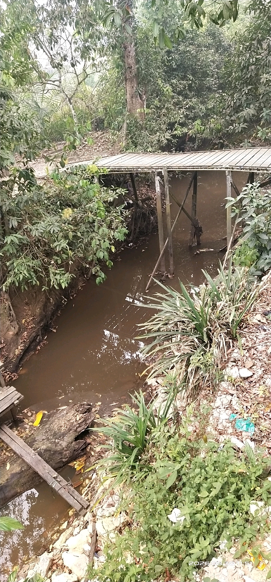The image depicts a small, muddy waterway flowing through a densely vegetated area, likely in the city of Jaar, Indonesia. A simple wooden bridge, constructed with planks and supported by upright wooden beams, spans the water. The bridge appears somewhat weathered and rustic, with some loose or broken pieces evident. The banks of the waterway are lined with soil, fallen leaves, and various types of foliage, including grasses and leafy plants. In the foreground, the edge of the waterway is visible, with a piece of driftwood partially submerged and a bright yellow object, possibly a plastic container, resting on it. The surrounding environment is characterized by thick green vegetation, including trees and shrubs, suggesting a natural or semi-natural setting within the urban landscape of Jaar. The water itself is opaque and brown, indicative of sediment or organic matter. The overall scene conveys a sense of a secluded, overgrown natural area within a populated region.