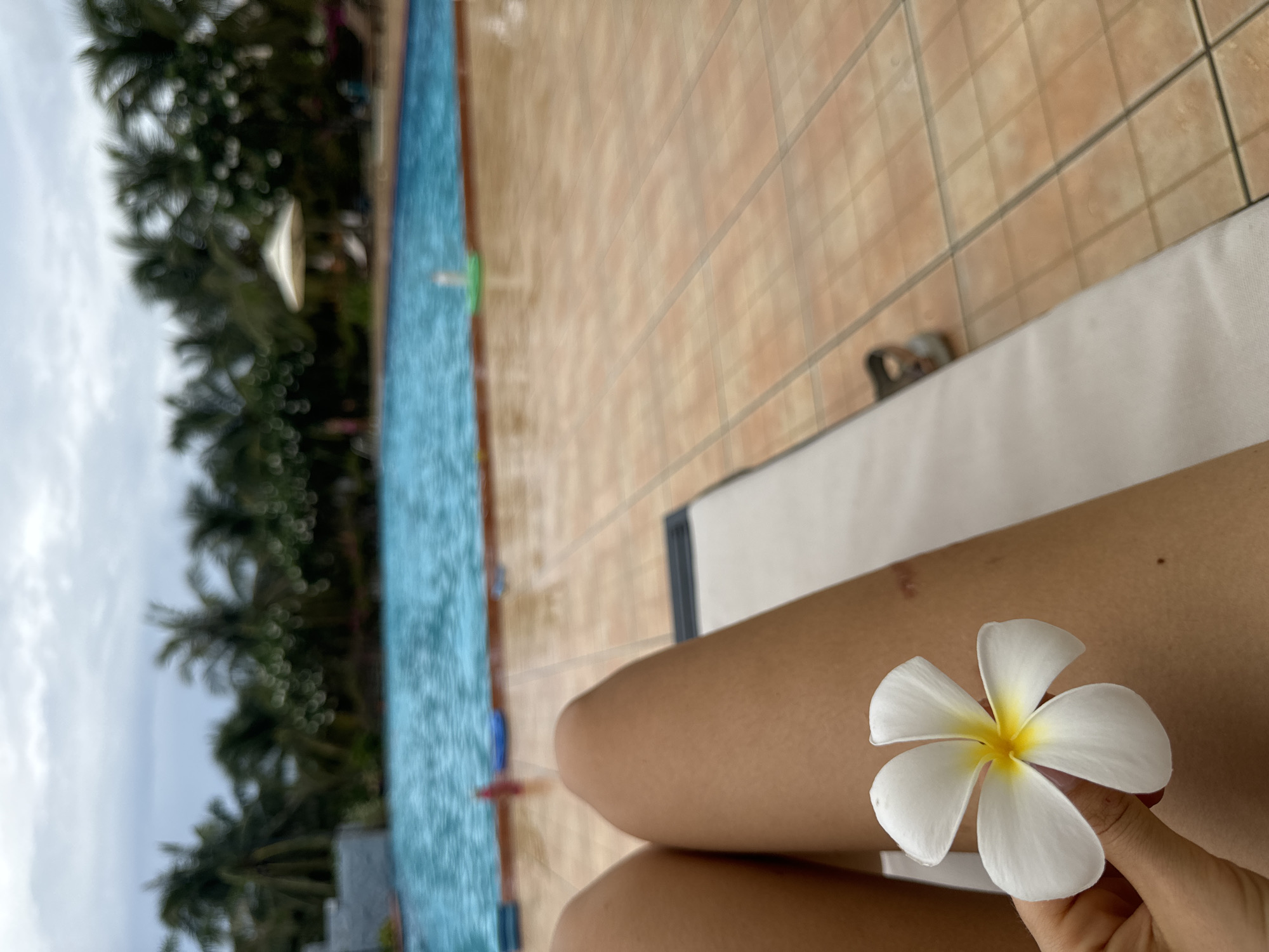 The image, taken from a first-person perspective, captures a serene poolside moment. In the foreground, the tanned legs and hand of an individual are visible, resting on what appears to be a white lounge chair or sunbed. The hand delicately holds a white plumeria (frangipani) flower with a vibrant yellow center.
Behind the person, a clear blue swimming pool stretches vertically across the left side of the frame. The poolside area consists of light brown or beige square tiles with dark grout lines. Further in the background, out of focus, are numerous lush green palm trees, indicating a tropical environment. The sky above is overcast and grey, suggesting a cloudy day, late afternoon, or early morning. A blurred white structure, possibly part of a resort building or an umbrella, is faintly visible among the trees.
The scene conveys a sense of relaxation and leisure, typical of a vacation setting. The tropical flora and the presence of the pool strongly suggest a resort or holiday destination, consistent with the provided location context of Phu Thuy Ward, Vietnam. No visible text is present in the image.