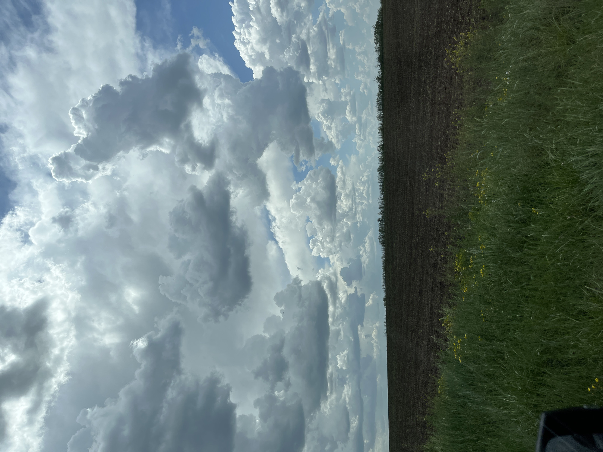 The image depicts a landscape scene, likely a field or rural area, under a sky filled with dramatic cumulonimbus clouds. The left side of the image is dominated by these large, billowing clouds, some of which are dark gray, indicating possible rain. Patches of blue sky are visible between the clouds.
On the right side of the image, the land is divided into two distinct areas. The upper portion appears to be plowed or tilled soil, exhibiting a dark brown color. The lower portion is covered in green vegetation, possibly grass or weeds, with scattered yellow flowers.
There are no people visible in the image. The scene appears to be taken from a low angle, possibly from a vehicle. Part of what looks like the interior of the vehicle can be seen in the bottom right.
Without further context or landmarks, pinpointing the exact location within Poltavka, Ukraine is not possible.