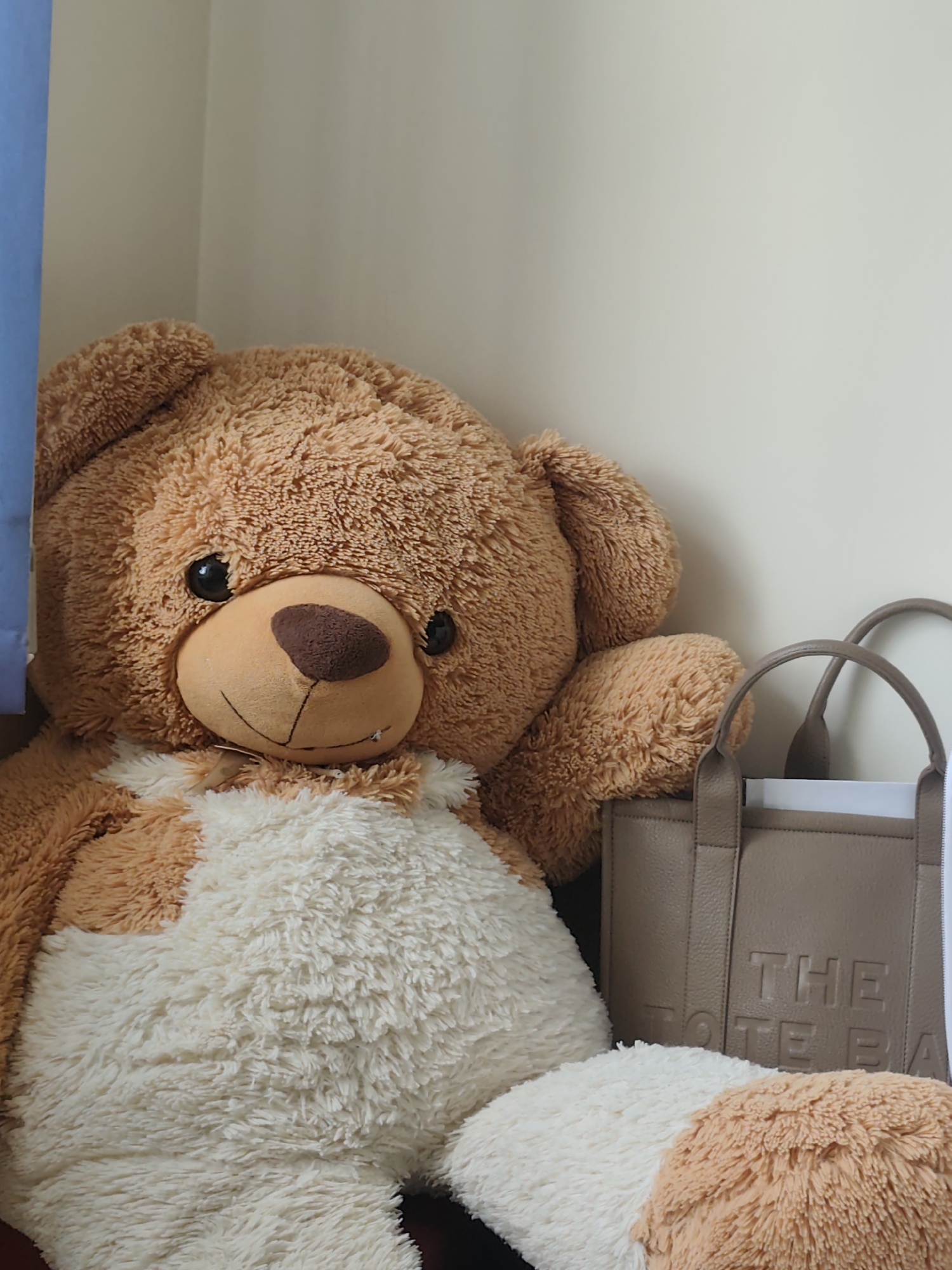 A large, fluffy teddy bear is positioned in the lower left of the frame, leaning against a wall. The bear is light brown with a cream-colored belly and accents on its limbs. It has dark button eyes and a brown nose. To the right of the bear, a taupe tote bag with embossed lettering is visible, its handles arching towards the top of the frame. The background consists of a plain, light-colored wall. A sliver of a blue vertical object is present on the far left edge of the image.