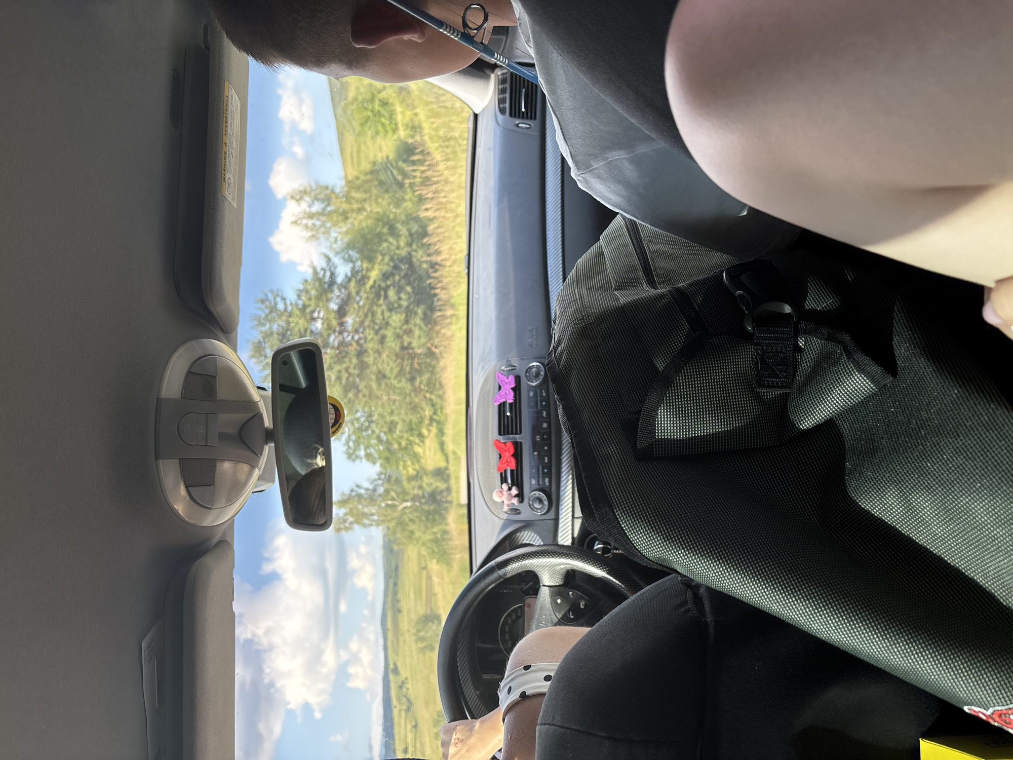 The image shows the interior of a car, with a driver's perspective. The setting appears to be a sunny day, with a view of green fields and trees through the windshield. The dashboard is visible, featuring air vents adorned with small butterfly-shaped air fresheners in pink, red, and white. A steering wheel with controls is prominent in the foreground. The subjects are primarily the people in the car. One person's head and shoulder are visible in the upper left, and another person's arms and torso are in the lower right, suggesting they are the driver. A white wristband with black polka dots is visible on the driver's arm. A sun visor with a warning label is overhead. The overall mood is casual and relaxed, likely during a road trip. The location context of Koprivshtitsa, Bulgaria, suggests a rural or scenic drive. The visible text on the sun visor is a warning label, likely related to vehicle safety.