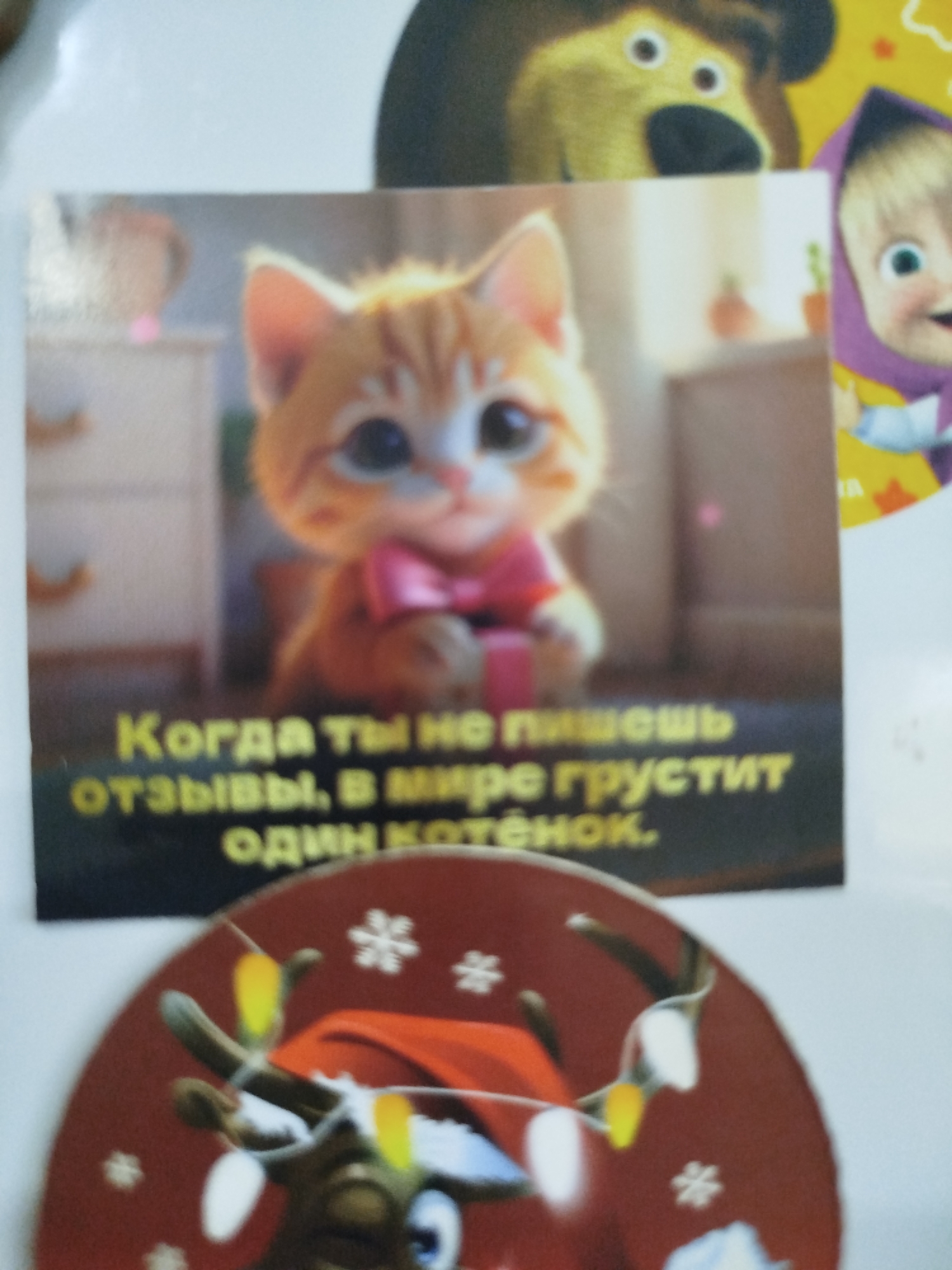 A close-up, low-angle shot shows a postcard with a kitten and text overlaid on it. The kitten is orange and white, with large blue eyes and a pink bow around its neck. The text reads, "Когда ты не пишешь отзывы, в мире грустит один котёнок." This translates to, "When you don't write reviews, one kitten in the world is sad." The postcard is placed on a surface that appears to be a wall in the city of Kryvaselski Silski Save, Belarus.