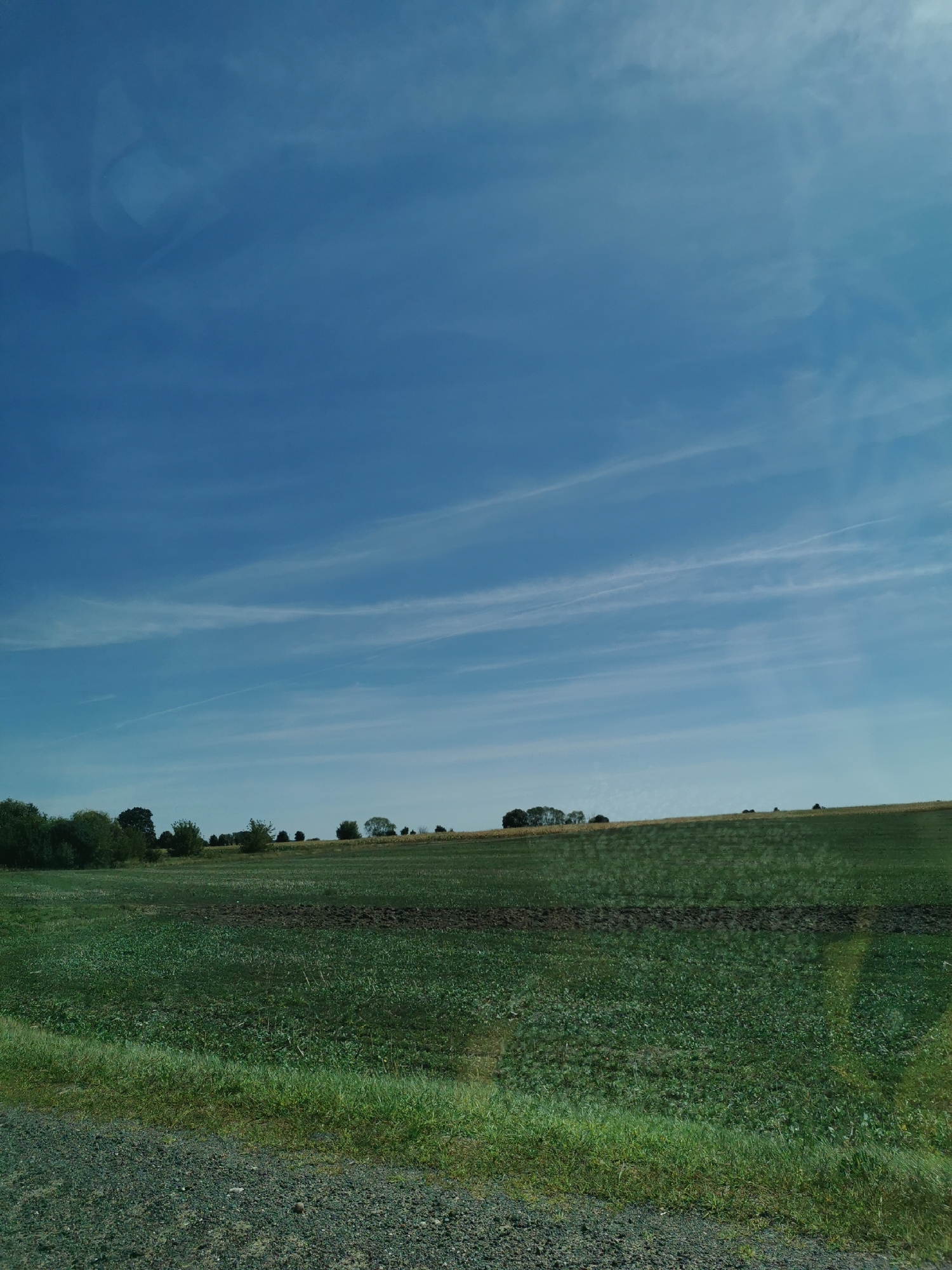 The image shows a rural landscape with a vast expanse of green fields under a clear blue sky with wispy white clouds. In the foreground, a gravel path runs along the bottom edge, bordered by short green grass. Beyond this, a dense green field stretches towards a gently sloping hill. A dark, tilled patch is visible within the green field, suggesting recent agricultural activity. The middle ground features a line of trees and shrubs along the horizon, with a few buildings faintly visible behind them. The overall scene depicts a tranquil countryside setting in Відамлянскі сельскі Савет, Belarus.