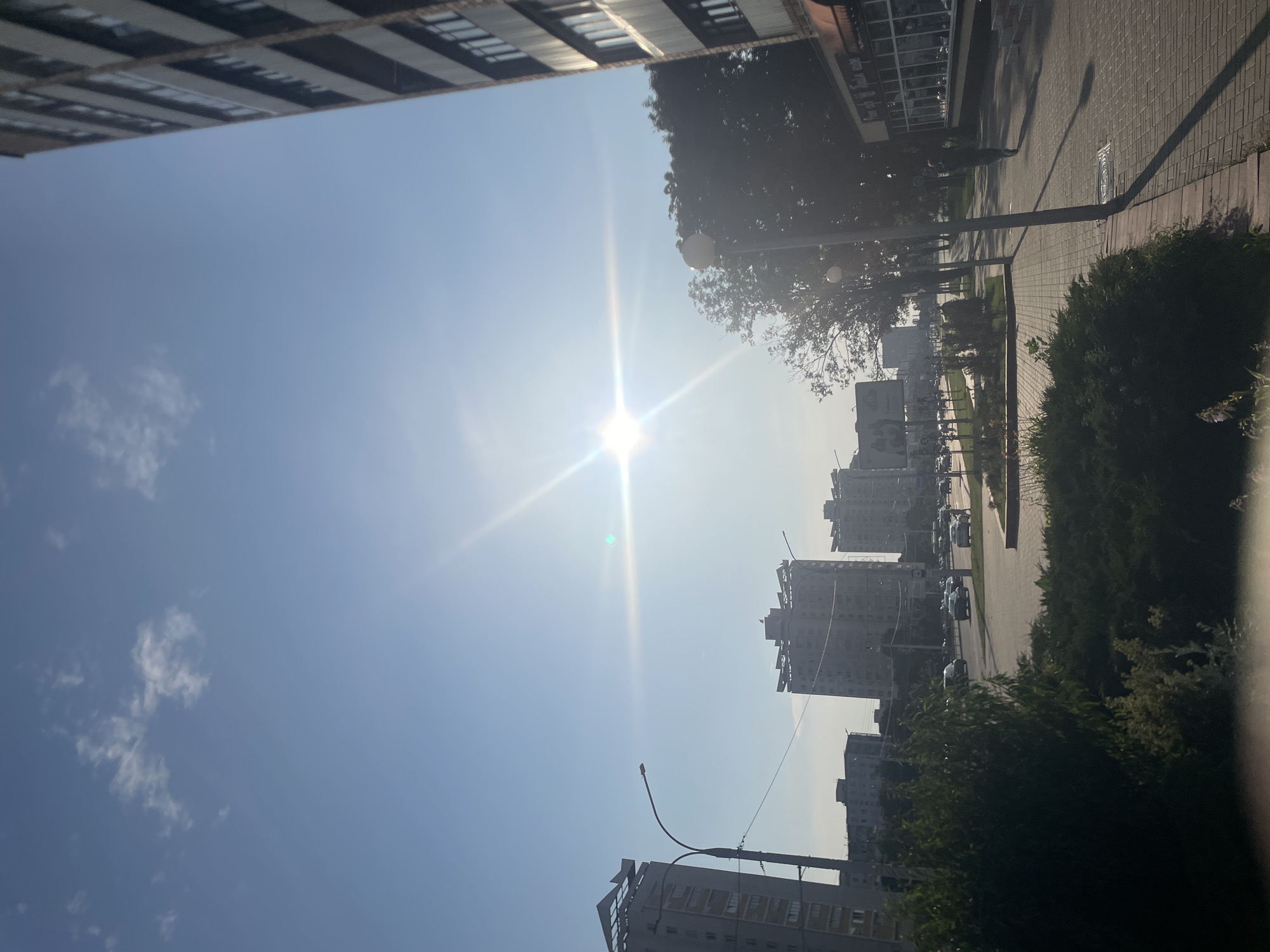 The image depicts a street scene in an urban environment under a clear blue sky with some scattered clouds. The sun is shining brightly, creating a lens flare effect in the center of the image. On the right side of the frame, a tall, multi-story building with a facade of windows and vertical panels dominates the view. On the left, several other apartment buildings of varying heights are visible, some with distinctive angular rooftops. A street with light traffic, including cars and a bus, runs through the middle of the scene. Lampposts line the sidewalk, and trees with dense foliage are interspersed along the street. A paved sidewalk runs parallel to the street, and a person is seen walking away from the camera on the right side of the sidewalk. The foreground is occupied by bushes and greenery, with a brick border delineating the edge of the sidewalk. The overall impression is of a sunny day in a residential or commercial area of a city.