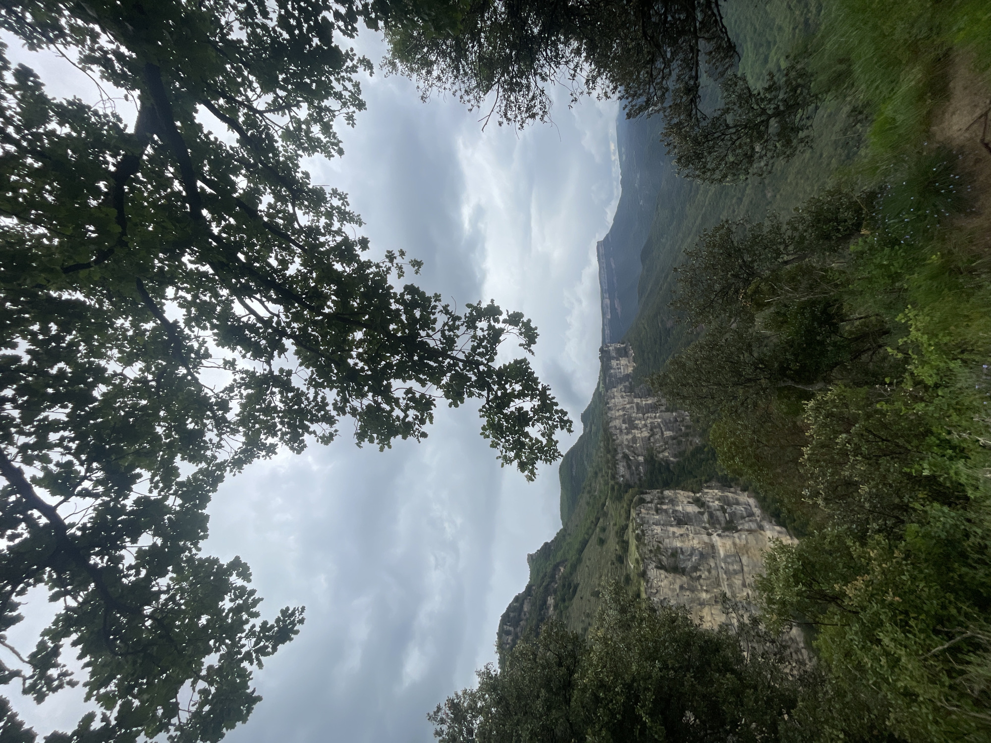 This image captures a view looking up from below, framed by trees at the top and bottom of the image. The location is likely a ravine or gorge in the mountainous area of Rupit i Pruit, Spain. The sky is overcast with gray clouds. On the right side, a steep cliff face is visible, covered with vegetation in some areas. Further back, a mountain ridge is seen fading into the distance. On the left, tree branches with dense green foliage fill the frame, partially obscuring the sky. The composition creates a sense of depth and highlights the dramatic landscape.
