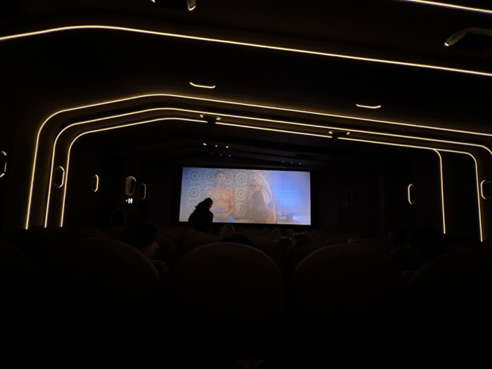 The image depicts a darkened movie theater interior. Illuminated by long, parallel light fixtures that line the ceiling, the theater displays a film on a central screen, showing two figures. Silhouetted audience members sit in rows of chairs, their forms mostly indistinguishable due to the low lighting. The cinema's walls feature vertical, illuminated bars creating a modern aesthetic.