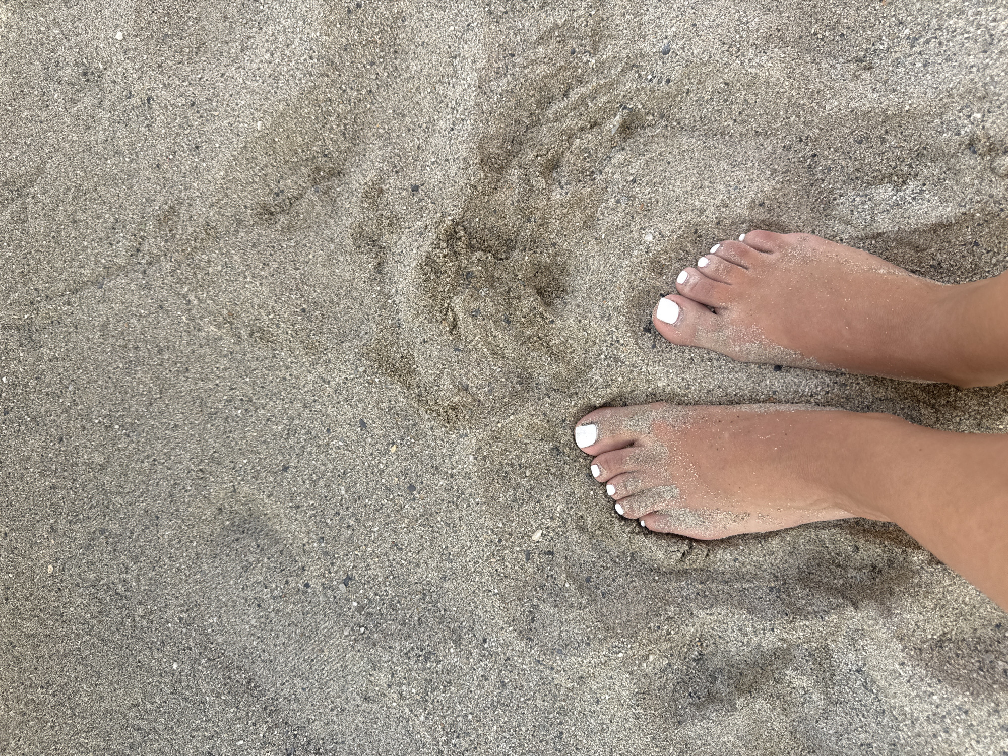 Two bare feet with white painted toenails are standing on damp sand. The sand is a mix of light and dark grains, with some small pebbles visible. The feet are positioned close together, with the toes facing forward. The lighting suggests it is daytime, and the environment appears to be a beach. The scene is captured from a high-angle perspective, looking down at the feet and the sand. No specific landmarks of Finale Ligure, Italy are visible in the image.