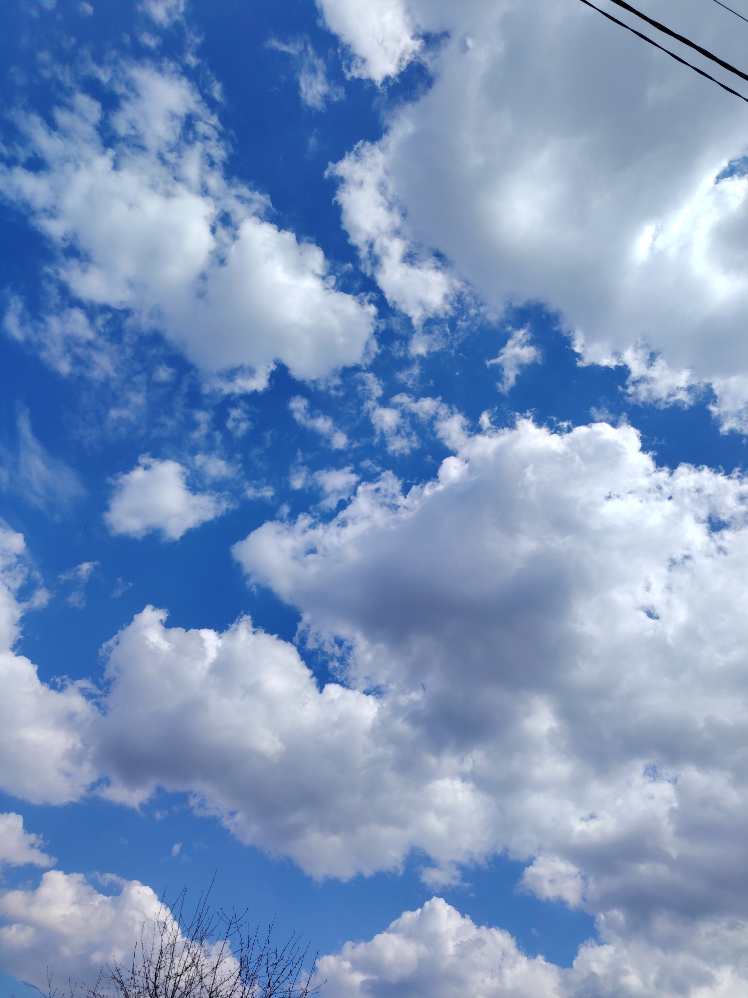 The image shows a daytime view of the sky above Chaikovsky, Russia. The sky is predominantly blue with scattered cumulus clouds. In the upper right corner of the image, there is a portion of electrical lines. At the bottom edge, there are some tree branches without leaves. No people are visible in the image.
