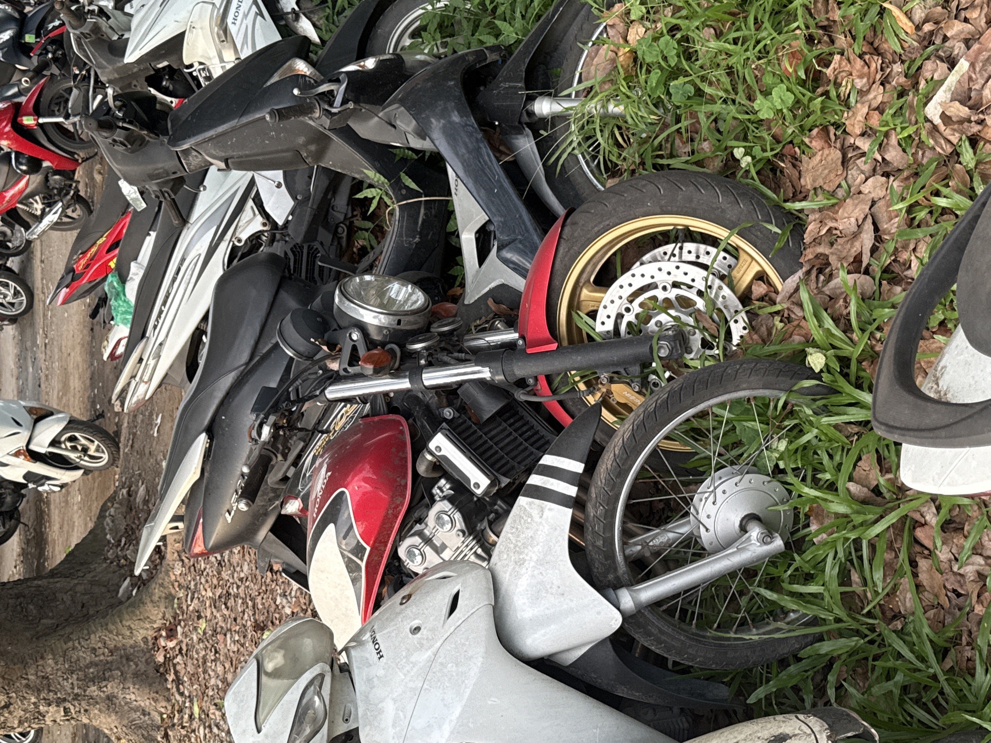The image shows a collection of motorcycles, seemingly abandoned, discarded, or perhaps awaiting repair, in an outdoor environment. The location is suggested to be Hà Nội, Vietnam based on the context.
**Subjects/Objects:**
* Multiple motorcycles of various makes and models, partially obscured by each other and foliage. Distinct features include a red gas tank bearing a "HONDA" marking, a gold-rimmed wheel with a brake disc, a front wheel with spokes, and other components scattered within the frame.
* Overgrown grass and fallen leaves cover parts of the ground, obscuring the motorcycles.
**Environment:**
* The scene is outdoors, possibly in a yard, storage area, or abandoned lot where the motorcycles have been left.
* There's evidence of unkempt vegetation, indicating a lack of regular maintenance.
**Actions/Interactions:**
* There are no active interactions or people visible in the frame.
* The motorcycles are stationary, in a state of neglect or abandonment.
**Forensic Details:**
* The condition of the motorcycles varies, with some appearing more intact than others.
* The presence of grass and leaves suggests that the motorcycles have been sitting in the environment for some time.
* There are no explicit signs of an accident.