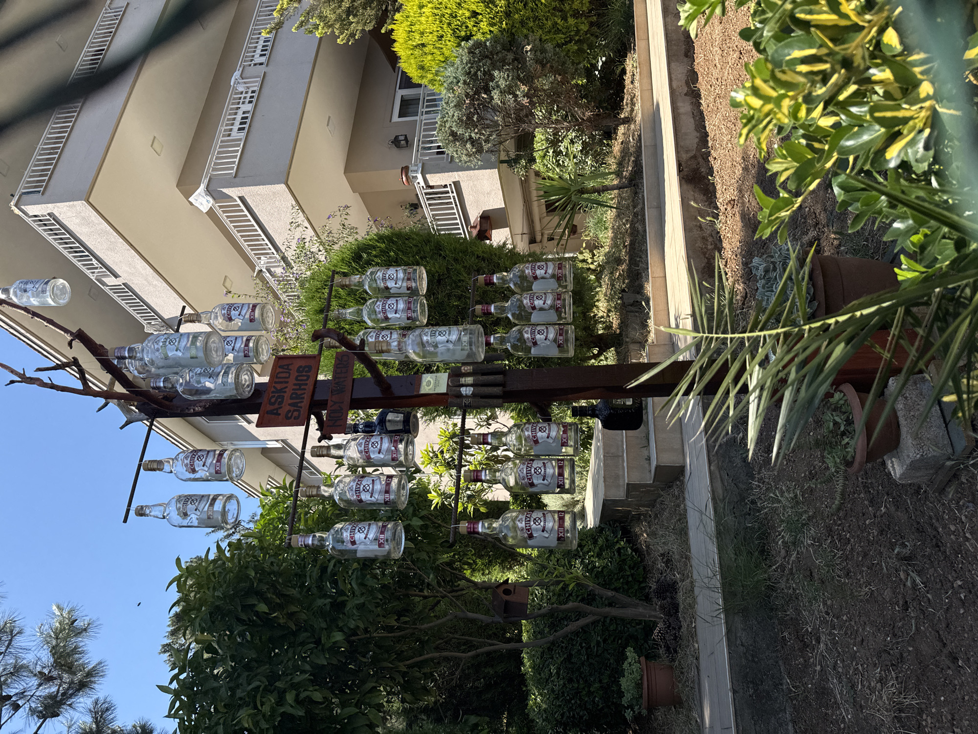 The image shows a garden area with a tree-like structure adorned with hanging glass bottles. Two signs are visible on the structure, one reading "ASKIDA SARHOS" and another below it reading "HOLY WATERS". The bottles appear to be whisky bottles, specifically "Chivas Regal 12 Year Old". The background features a multi-story building with balconies, typical of a residential area. Green trees and shrubs surround the garden. The scene is set in sunlight under a clear blue sky, suggesting a warm day. The Prince Islands, Turkey, is a district known for its collection of islands in the Sea of Marmara, off the coast of Istanbul, characterized by their scenic beauty and, in some areas, residential buildings and gardens.