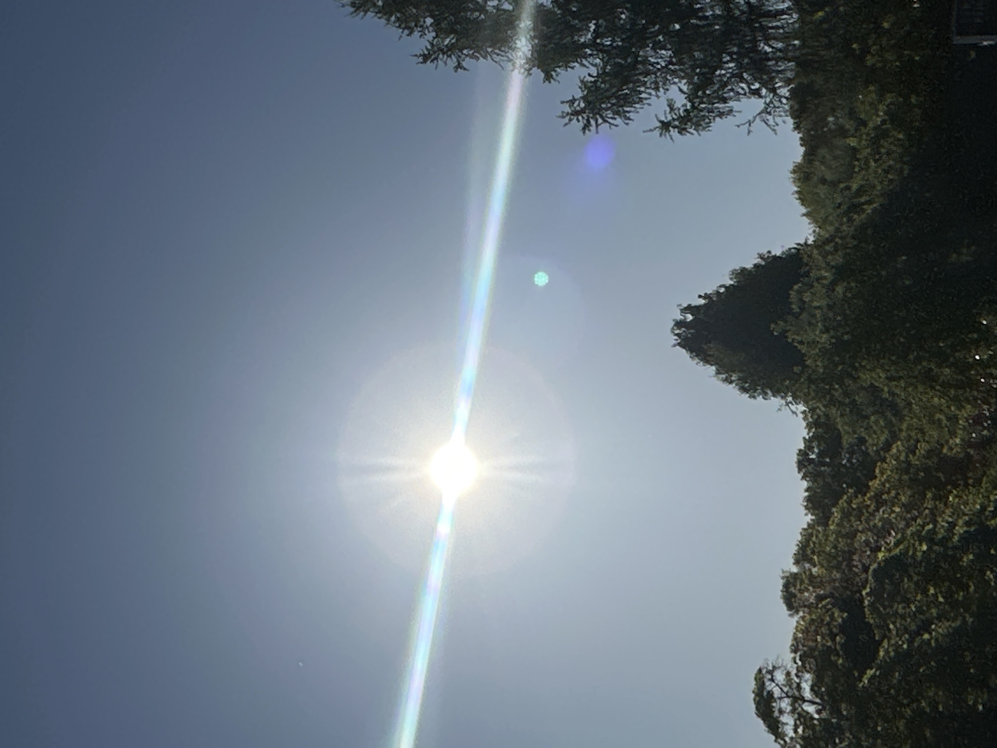The image is a bright, upward-angled shot of a clear sky with trees bordering the frame. The dominant feature is the intensely bright sun, positioned centrally on the left side of the composition, appearing as a brilliant white orb with visible light rays emanating outwards. A pronounced, iridescent vertical lens flare, displaying hues of blue, green, and purple, bisects the entire image, passing directly through the sun. Several other smaller, circular lens flares, one a distinct blue and another a faint blue-white, are also visible in the sky.
The sky itself is a clear, light blue-grey, indicating good weather conditions. Along the top edge and extending down the right side of the frame, dense green foliage and branches of trees are visible, silhouetted against the bright sky. The trees appear healthy and full of leaves.
There are no people, man-made objects (beyond the camera artifacts like lens flare), or discernible activities taking place. The scene suggests a sunny daytime, likely mid-morning or afternoon, given the intensity and position of the sun. No specific location cues are visible within the image itself that would identify Tunbridge Wells, United Kingdom. There is no visible text.