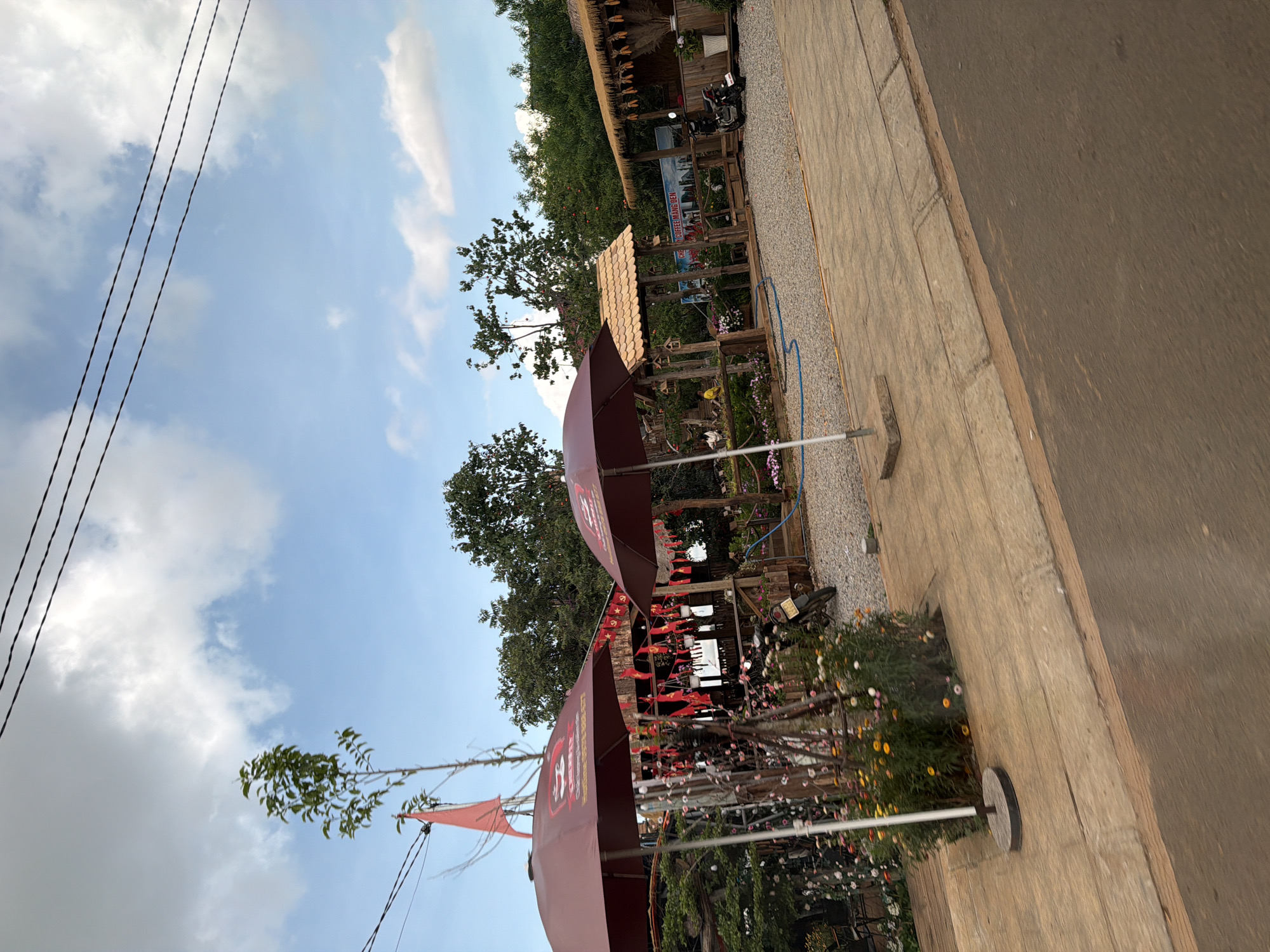 The image, taken during daytime, presents an outdoor scene likely at a cafe or restaurant in Măng Đen, Vietnam. The sky is bright blue with scattered white clouds, suggesting clear weather.
In the foreground and midground, two large, maroon-colored umbrellas provide shade. Under and around these umbrellas, numerous small red flags with yellow stars and hammer and sickle symbols (Vietnamese Communist Party flags) are displayed, creating a festive atmosphere. One umbrella shows partial text including "30/4", possibly referencing Reunification Day. Surrounding the seating area are various potted plants and flower beds bursting with colorful blooms.
Behind the umbrellas, there are rustic wooden structures, including a building with a traditional thatched roof, and another open-air wooden seating area. A motorbike is parked near one of these structures. A banner within the wooden area partially displays the text "CÀ PHÊ MĂNG ĐEN," indicating a coffee shop. Lush green trees form the backdrop, highlighting a natural and landscaped environment.
The ground features a paved walkway made of light-colored interlocking stones, transitioning into a darker-toned road. A blue hose is visible on the ground near an umbrella base. Three black power lines run diagonally across the upper left portion of the sky. The overall scene suggests a pleasant and inviting outdoor leisure or dining spot.