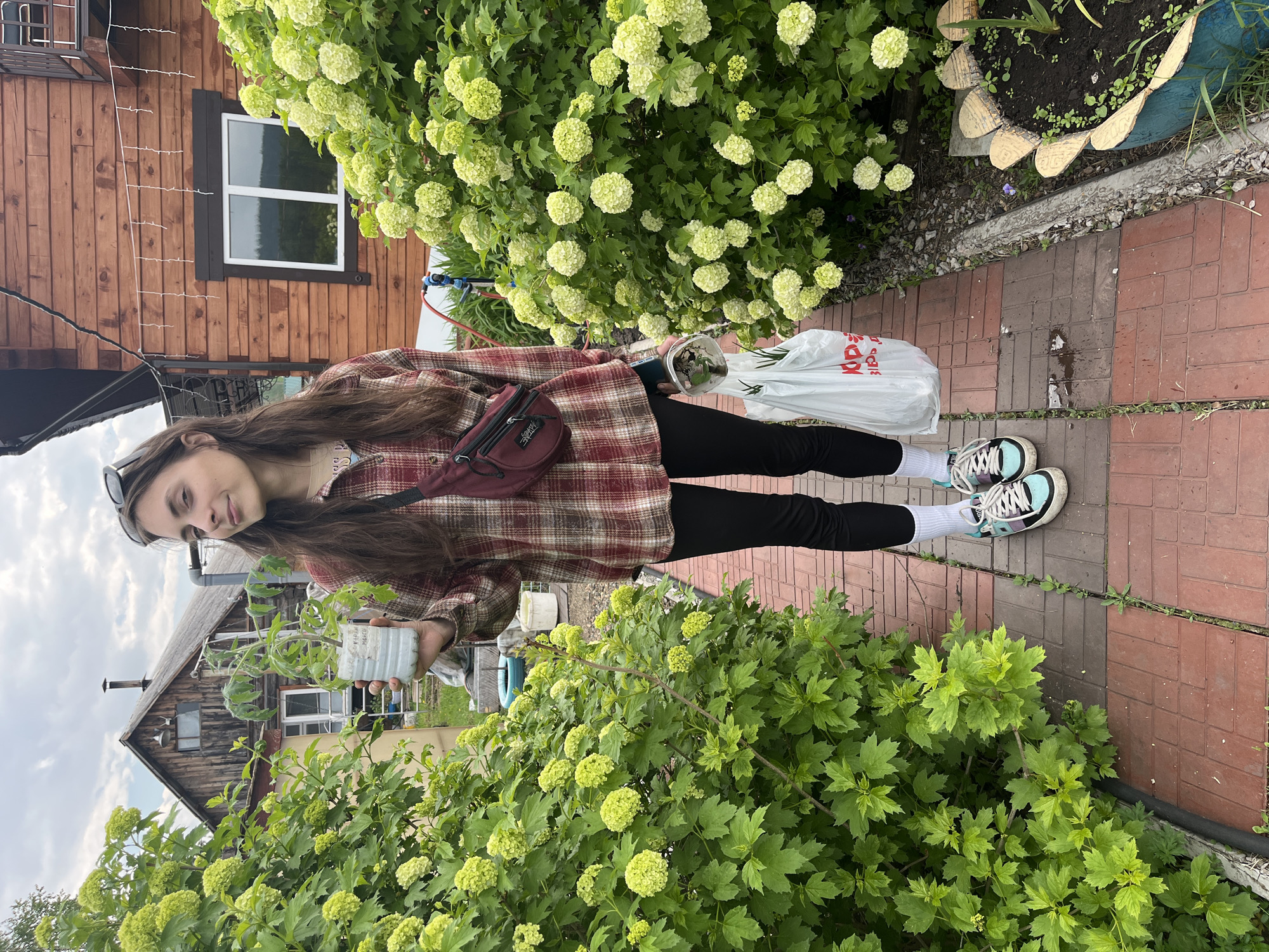 A young woman stands on a brick pathway in a rural setting, holding a potted plant and a white plastic bag. She is wearing a red and white plaid shirt, black leggings, white socks, and multi-colored sneakers. A maroon fanny pack is slung across her chest. Behind her, a rustic wooden house with a white-trimmed window and a small balcony is visible. The house is surrounded by lush green foliage, including flowering bushes. The sky is overcast. The location appears to be a dacha, a common type of country house in Russia. While the specific location within Berëzovskiy, Russia is not explicitly shown, the dacha setting is characteristic of the outskirts or rural areas surrounding cities in Russia.