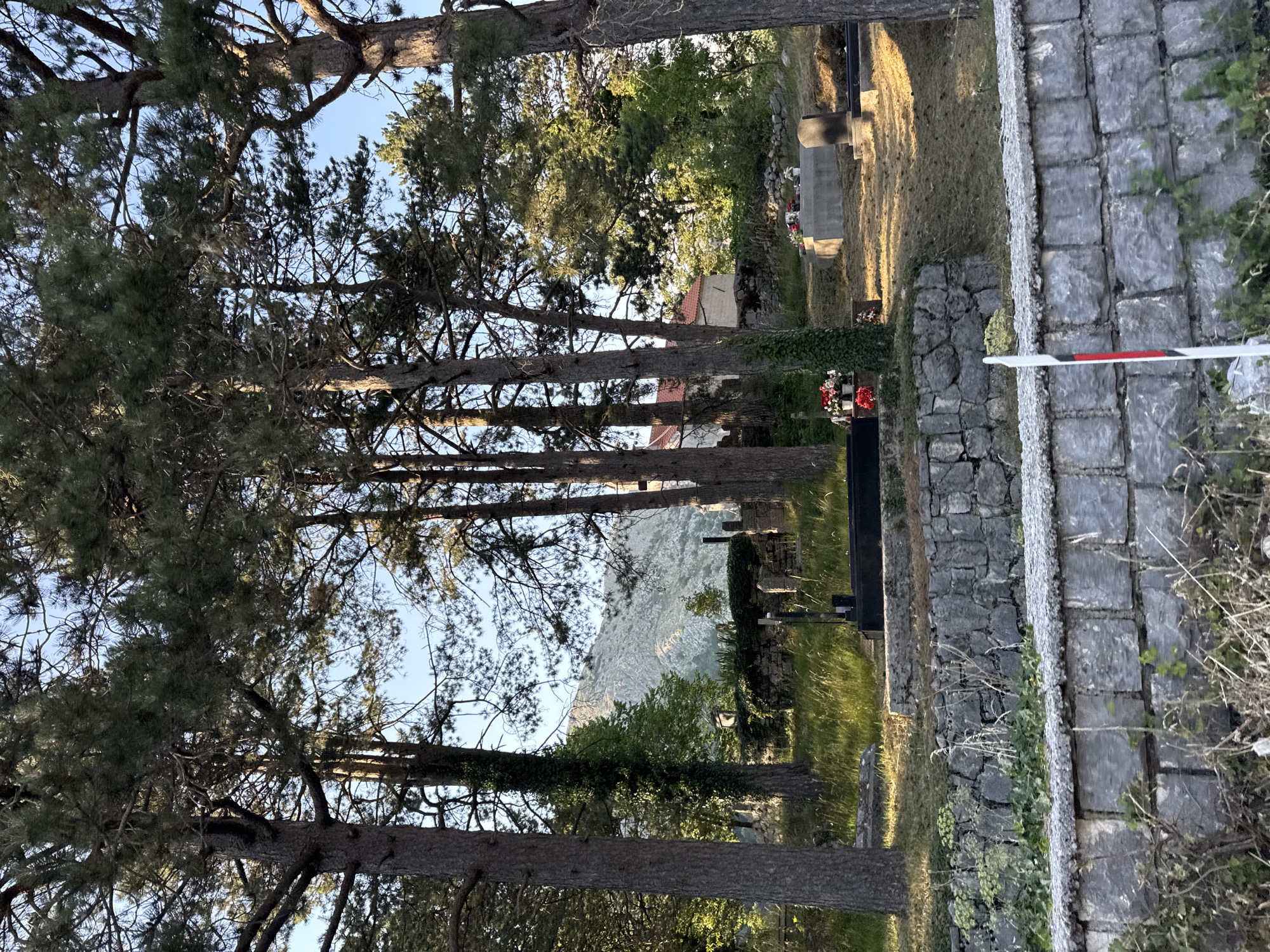 The image depicts a cemetery in Kopito, Montenegro, bathed in the warm light of late afternoon. Tall, mature pine trees dominate the foreground, their branches reaching towards the clear blue sky. The ground is covered in a mix of dry grass and scattered pine needles. Several gravestones and monuments are visible, some made of dark stone and others of concrete. A stone wall with weathered blocks runs along the middle ground, separating different sections of the cemetery. Beyond the wall, a traditional building with a red tile roof and stone accents is partially visible, nestled amongst greenery. In the background, a rugged, sun-drenched mountain range rises majestically. A white marker with red and black stripes stands near the bottom right of the frame. No people are present in the image.