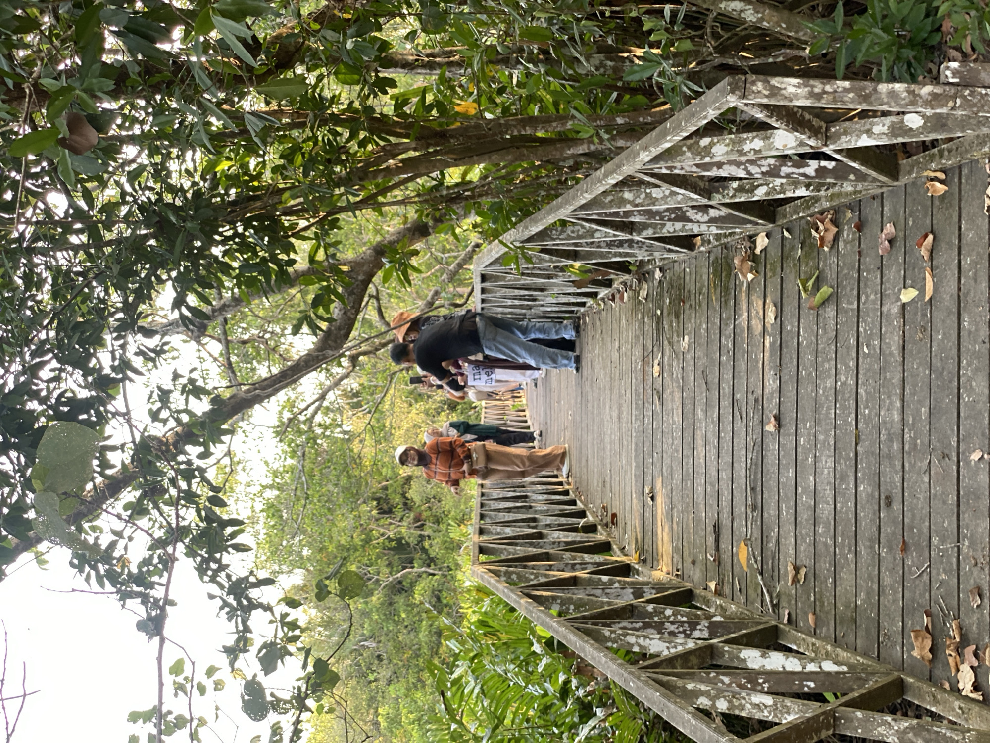 In Sungai Pitung, Indonesia, a wooden boardwalk passes through a lush, green natural environment. Several people are visible on the boardwalk. On the left side of the boardwalk, a woman wearing a patterned orange long-sleeved shirt, brown pants, and a white headscarf stands facing away from the camera, looking towards the trees. She has a small brown bag slung across her chest. Further down the boardwalk, a person in a black shirt and blue jeans is taking a photo of something to their left, with their back to the camera. To their right, another person, partially obscured, is also holding a phone, possibly taking a photo. In the background, more people are walking on the boardwalk. The boardwalk itself is constructed of wooden planks and features a patterned wooden railing on both sides. The surrounding vegetation is dense, with large green leaves and trees forming a canopy overhead. Fallen leaves are scattered on the boardwalk, indicating an outdoor, natural setting. The lighting suggests it may be late afternoon, with sunlight filtering through the trees.
