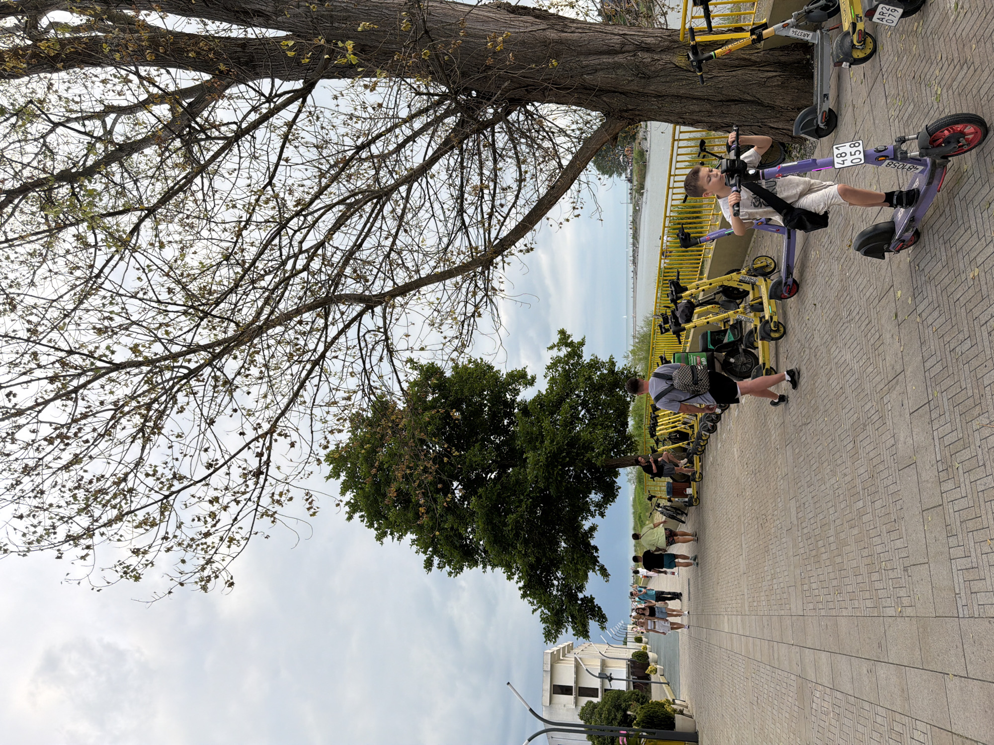 A boy rides a purple electric scooter along a paved promenade lined with yellow rented scooters and trees, near a body of water. In the background, people stroll along the promenade, with a building visible on the left and a beach and distant boats on the right. The scene appears to be set in Sochi, Russia, given the presence of an electric scooter rental service common in tourist areas.