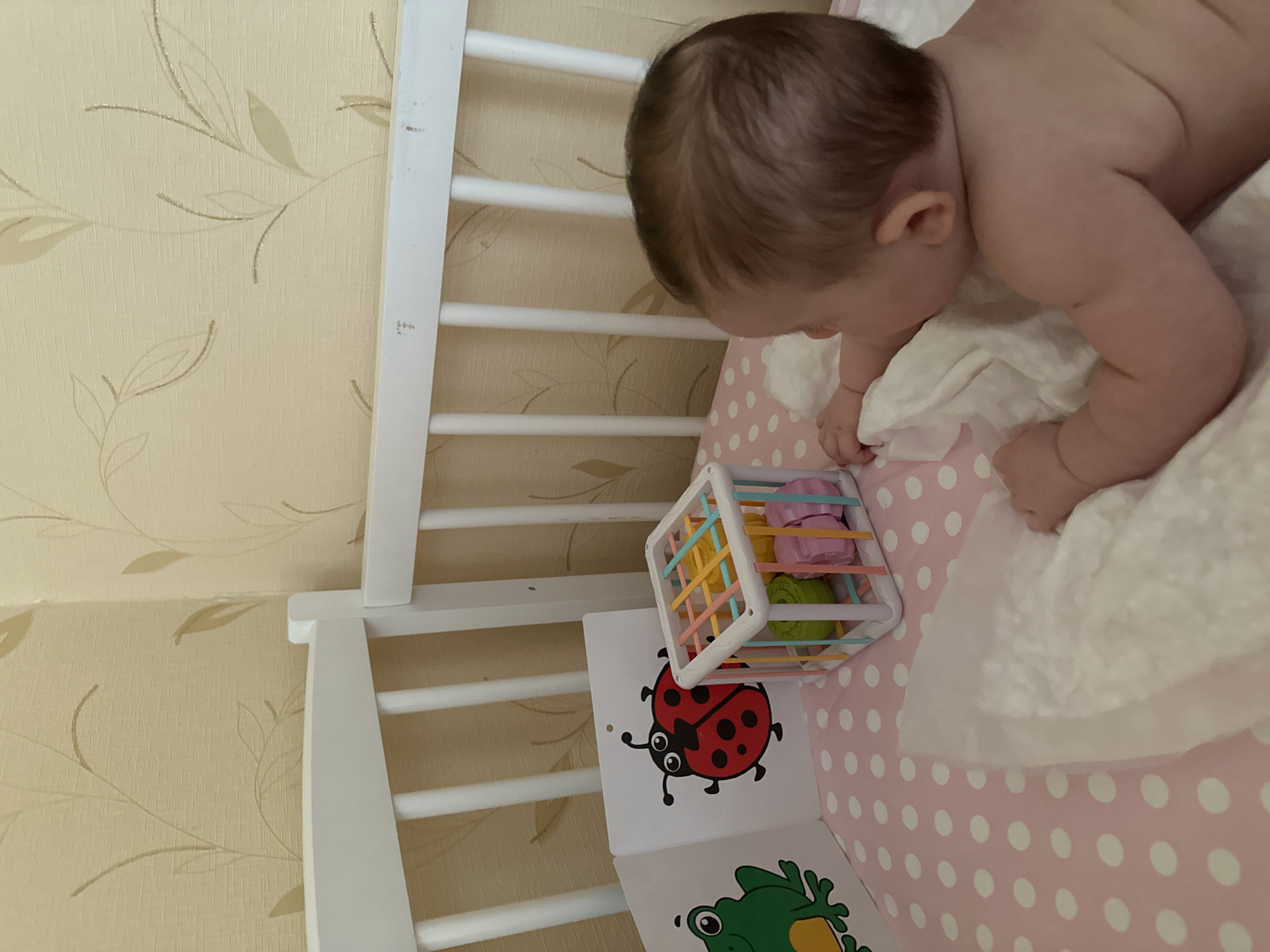 A baby is in a crib with pink polka-dotted sheets, playing with a colorful toy and a book with pictures of a ladybug and a frog. The crib is white. The wallpaper is patterned with light tan leaves. The image was taken in Chaikovsky, Russia.
