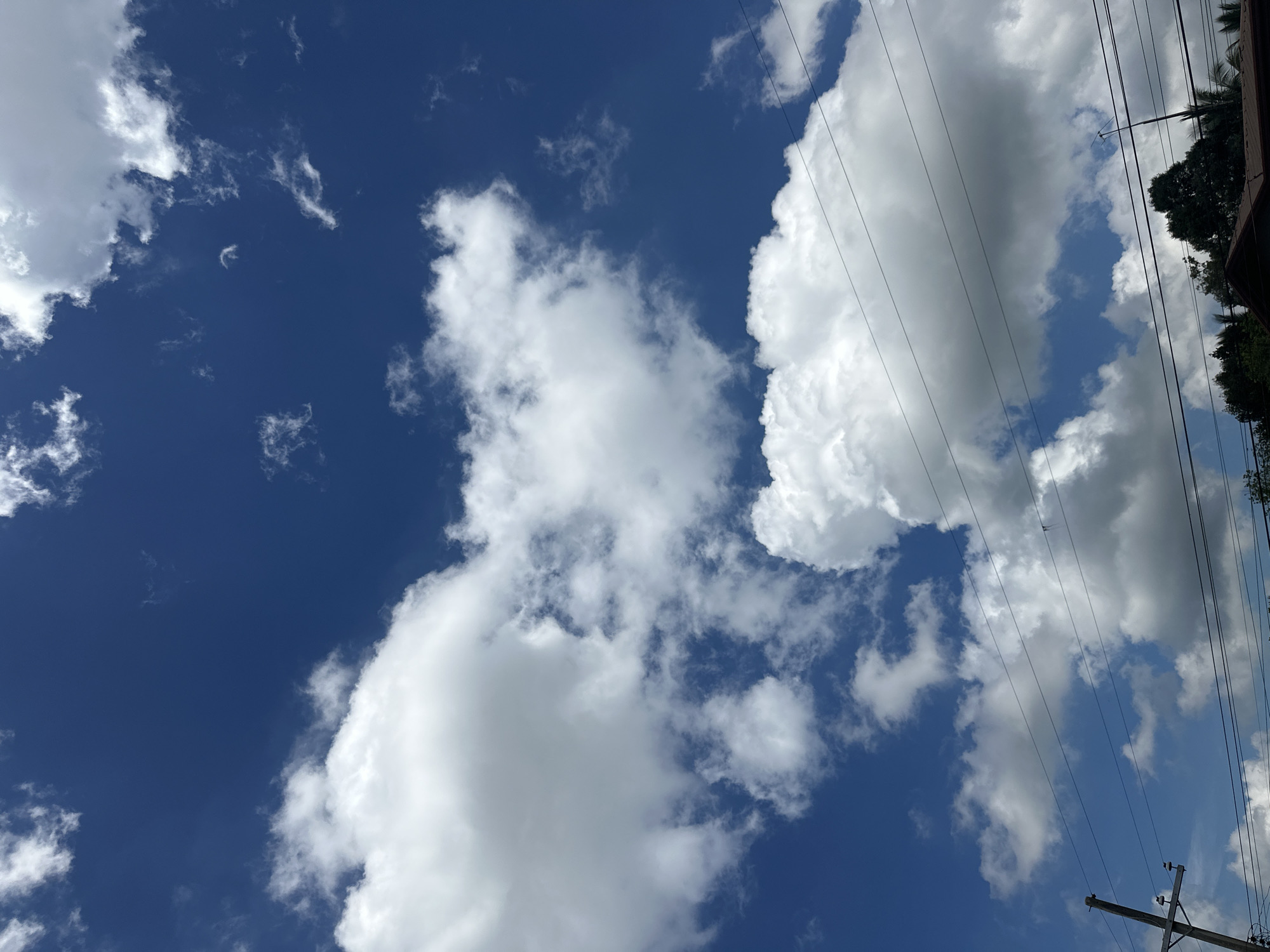 A view of a bright blue sky with scattered white cumulus clouds. In the lower portion of the image, there are power lines running horizontally across the frame. On the far left, a wooden utility pole is visible. The very bottom edge shows the tops of trees and the edge of a roof, suggesting an urban or suburban environment. This scene is consistent with the daytime weather conditions found in Davao City, Philippines.