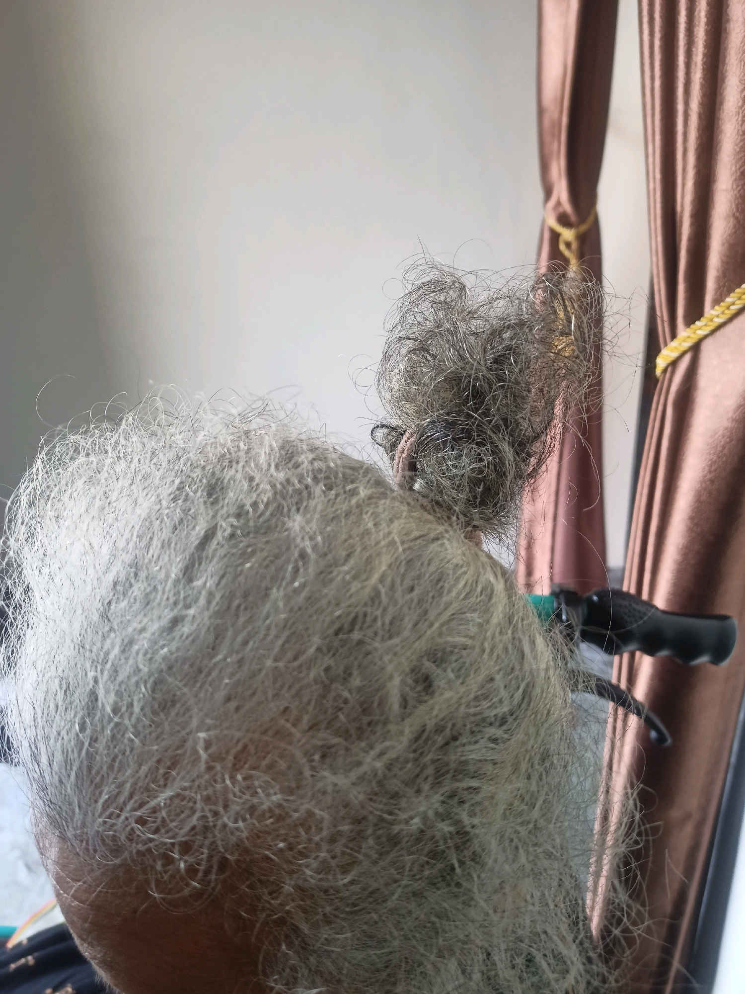 The image is a close-up, rear-view shot of a person's head in Karangtalun, Indonesia, focusing on their gray, messy hair styled into a bun on top. The hair is a mix of lighter gray and darker strands, appearing somewhat unkempt. A black handle with a green cap, likely part of a tool or object, is visible in the lower right portion of the frame, partially obscured by the hair. In the background, a brown curtain with a yellow decorative tie is draped, suggesting an indoor setting. The lighting is soft, coming from the left, casting a gentle illumination on the scene.