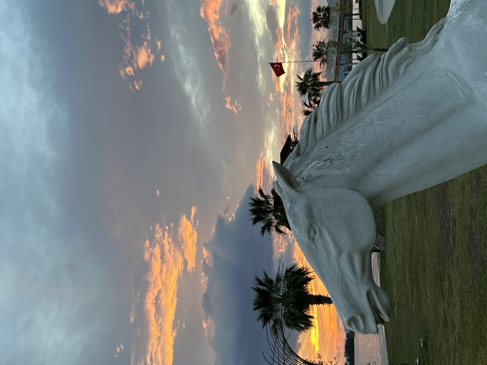 The image features a large, white horse statue in Fethiye, Turkey. The statue is positioned on a green lawn against a backdrop of a sunset sky with hues of orange, pink, and grey clouds. A Turkish flag is visible in the distance, along with several palm trees. The statue is the primary focus of the image, with the landscape elements providing context and setting.