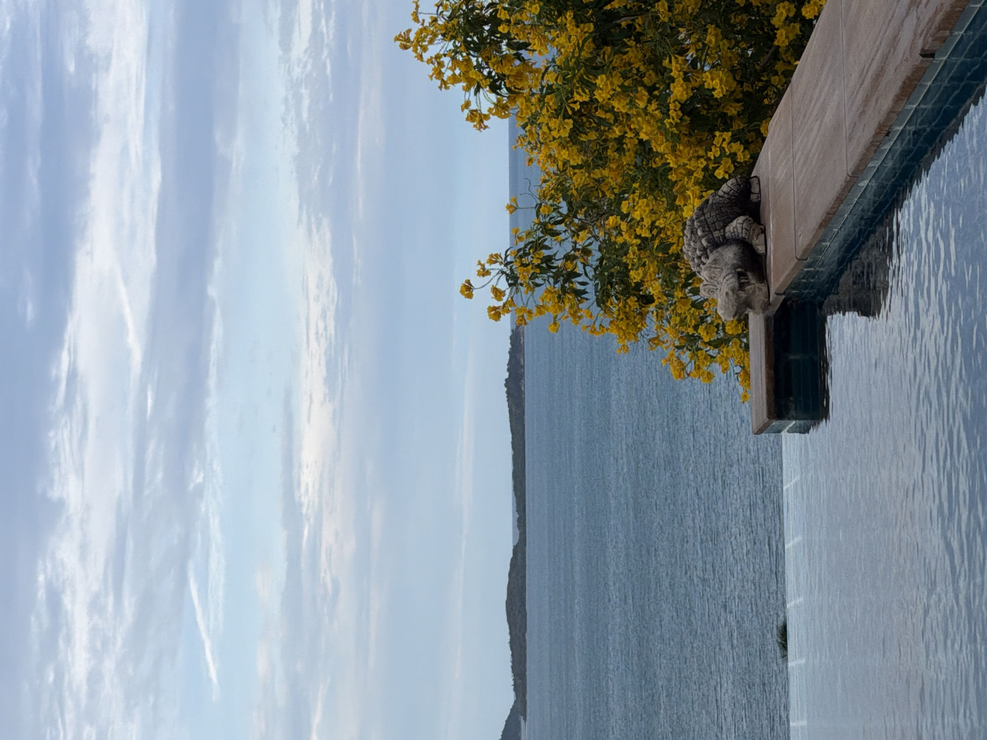 An infinity pool overlooks a tranquil sea and distant islands under a cloudy sky. A stone alligator sculpture rests on the pool's edge, a vibrant yellow flowering bush providing a backdrop. The scene evokes a sense of serene tropical luxury, characteristic of resorts in Ko Samui District, Thailand.