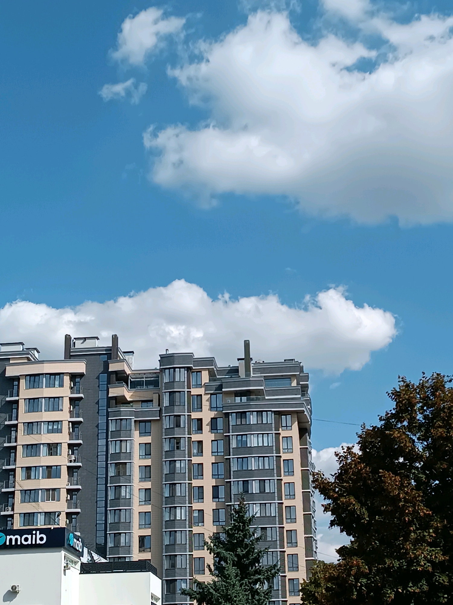 The image depicts a modern apartment building in Chișinău, Moldova, under a bright blue sky with scattered white clouds. The building, with its beige and dark grey facade, features numerous windows and balconies. In the foreground, to the left of the building, a portion of a white structure with a blue and black sign that reads "maib" is visible. To the right of the apartment building, a dark green tree with dense foliage partially obstructs the view. The scene appears to be an exterior urban environment on a clear day.