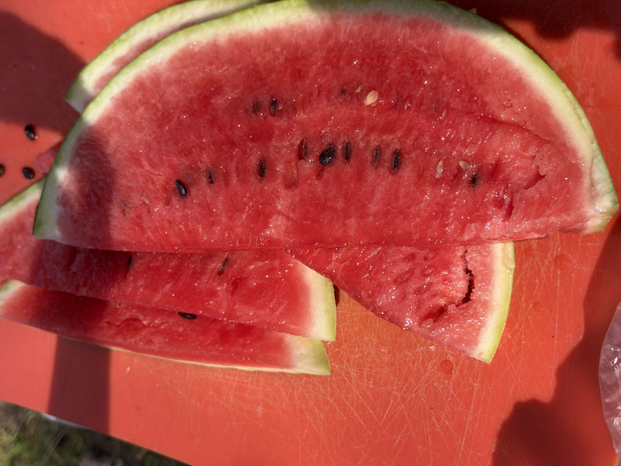 The image displays several slices of ripe watermelon arranged on a red cutting board. The watermelon flesh is a vibrant red, interspersed with black seeds. The rind is a lighter green. A shadow from an unseen object falls across the left side of the cutting board. The image does not provide any information about the location in the city of Chaikovsky, Russia.