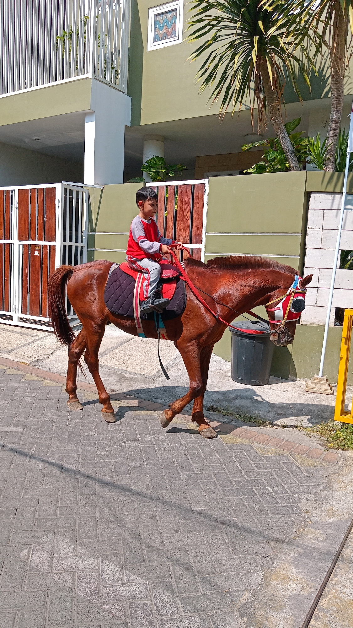 A young boy is riding a brown horse on a brick sidewalk in front of a building. The boy is wearing a red and gray long-sleeved shirt and gray pants. He is holding the horse's reins. The horse is wearing a red and white blind on its face. The building behind them is painted green and has a white railing on the second floor. There are palm trees and plants in front of the building. The scene appears to be in Randuagung, Indonesia.
