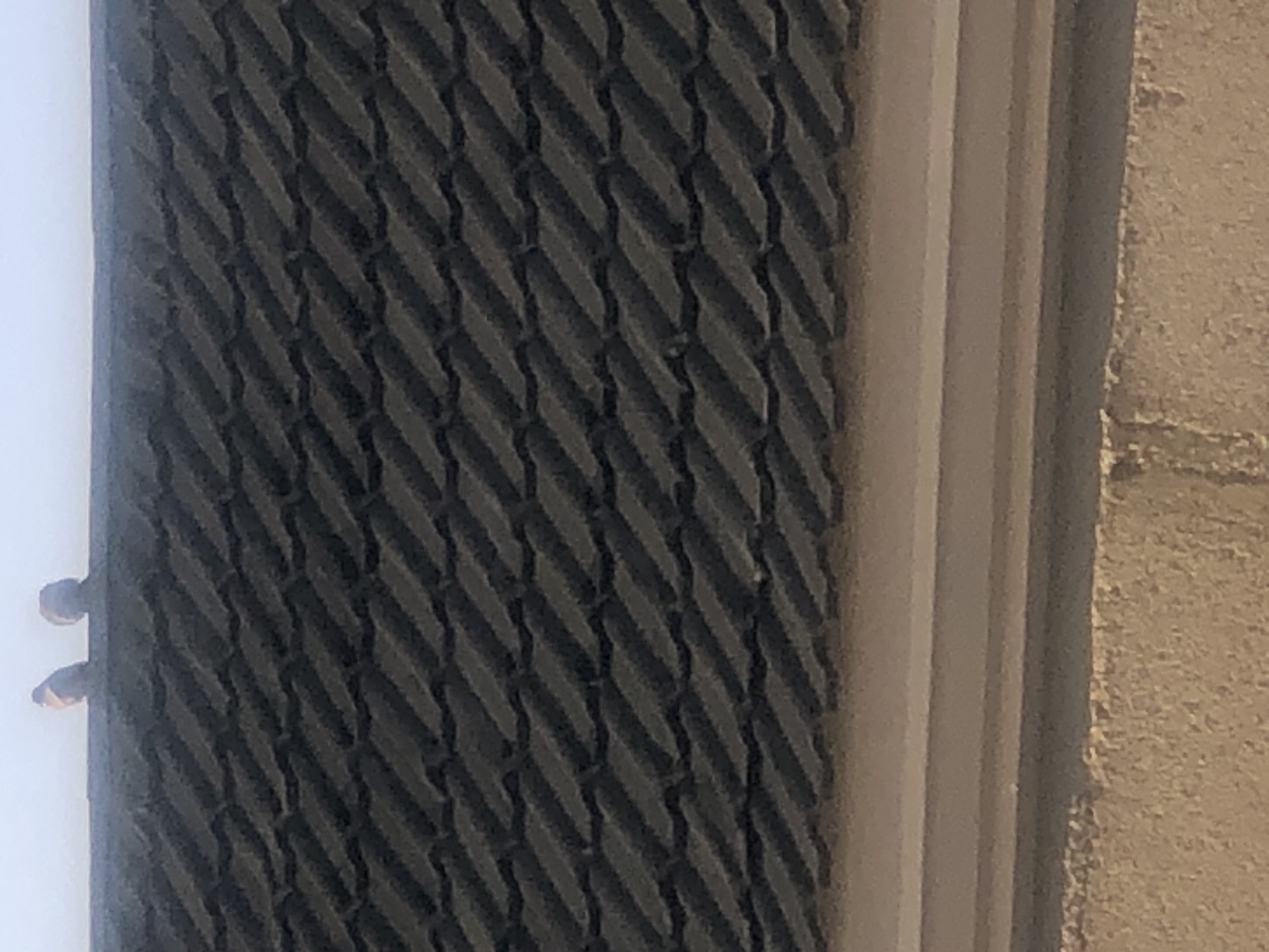 Two birds, likely doves, are perched on a dark tiled roof. The roof tiles are arranged in diagonal rows. The sky is a light blue, suggesting daytime. Below the roof is a textured beige wall. The image is taken from a slightly elevated perspective, looking up at the roof and birds. There is no indication of the specific location within Bar Jirgi Summa, Nigeria, beyond what is stated in the prompt.