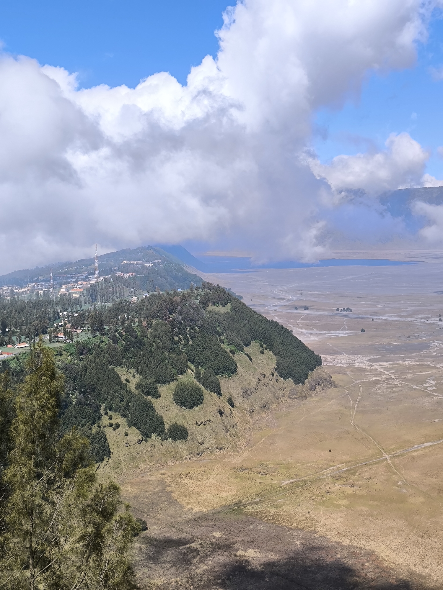 This image captures a panoramic view of a mountainous landscape with a village nestled on a hillside. The foreground features the lush green foliage of trees, with one particularly prominent pine tree on the left. The middle ground is dominated by a steep, verdant slope covered in dense trees, leading up to a settlement. This village appears to be comprised of buildings with red-tiled roofs and is dotted with what seem to be communication towers.
Beyond the village, the terrain slopes down into a vast, dry, and sandy plain. Winding dirt tracks are visible crisscrossing this expansive area, suggesting human or vehicle passage. In the far distance, a body of water or a haze-covered plain stretches out, partially obscured by clouds. The sky above is a vibrant blue, interspersed with dramatic, billowing white clouds, some of which cast shadows on the landscape below. The lighting suggests it is daytime, likely late morning or early afternoon, given the clear skies and the bright illumination of the scene. The overall impression is one of a rugged and somewhat remote natural environment with a human presence in the form of the village and the tracks. The location cues are consistent with the Cemorolawang region in Indonesia, known for its volcanic landscapes and agricultural settlements. No text is visible in the image.
