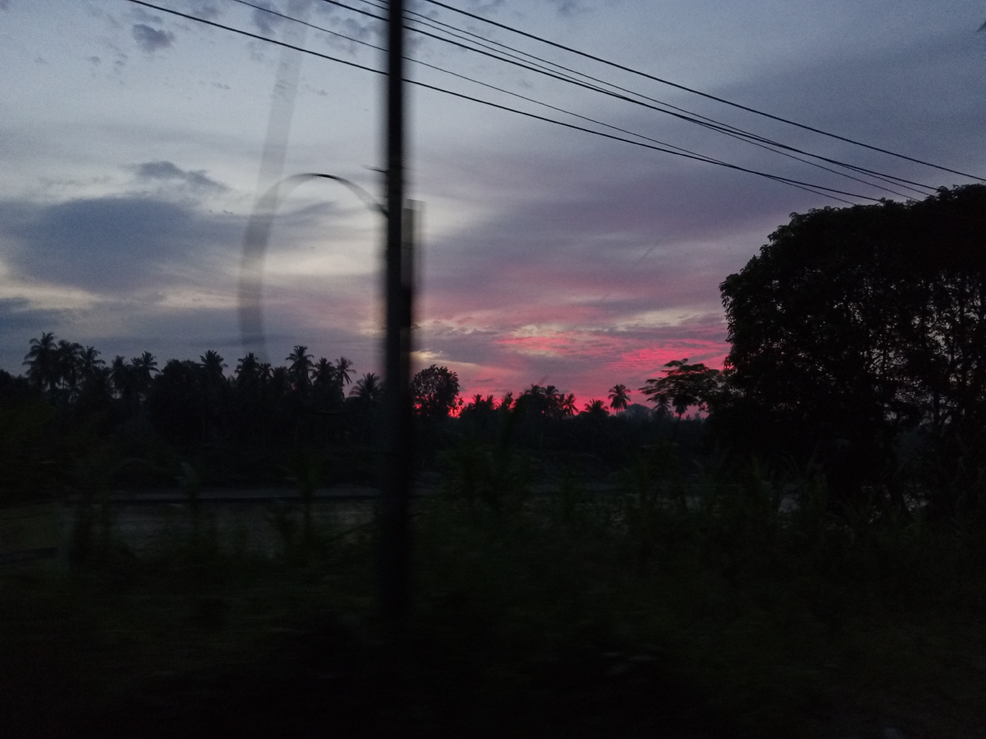 The image captures a twilight scene in Blang Mee, Indonesia, likely during sunrise or sunset, given the vibrant pink and purple hues painting the sky. Silhouetted against this colorful sky are numerous palm trees, characteristic of a tropical or subtropical landscape. The foreground is dominated by dark, out-of-focus foliage and a blurry vertical element, possibly a pole or a reflection on a window, suggesting the photo was taken from a moving vehicle or through a glass pane. Overhead, power lines crisscross the sky, indicating the presence of infrastructure. The overall mood is serene and atmospheric, with the fading light creating a sense of peace. The location context points to Blang Mee, Indonesia, a place known for its natural beauty and tropical climate. No text is visible in the image.