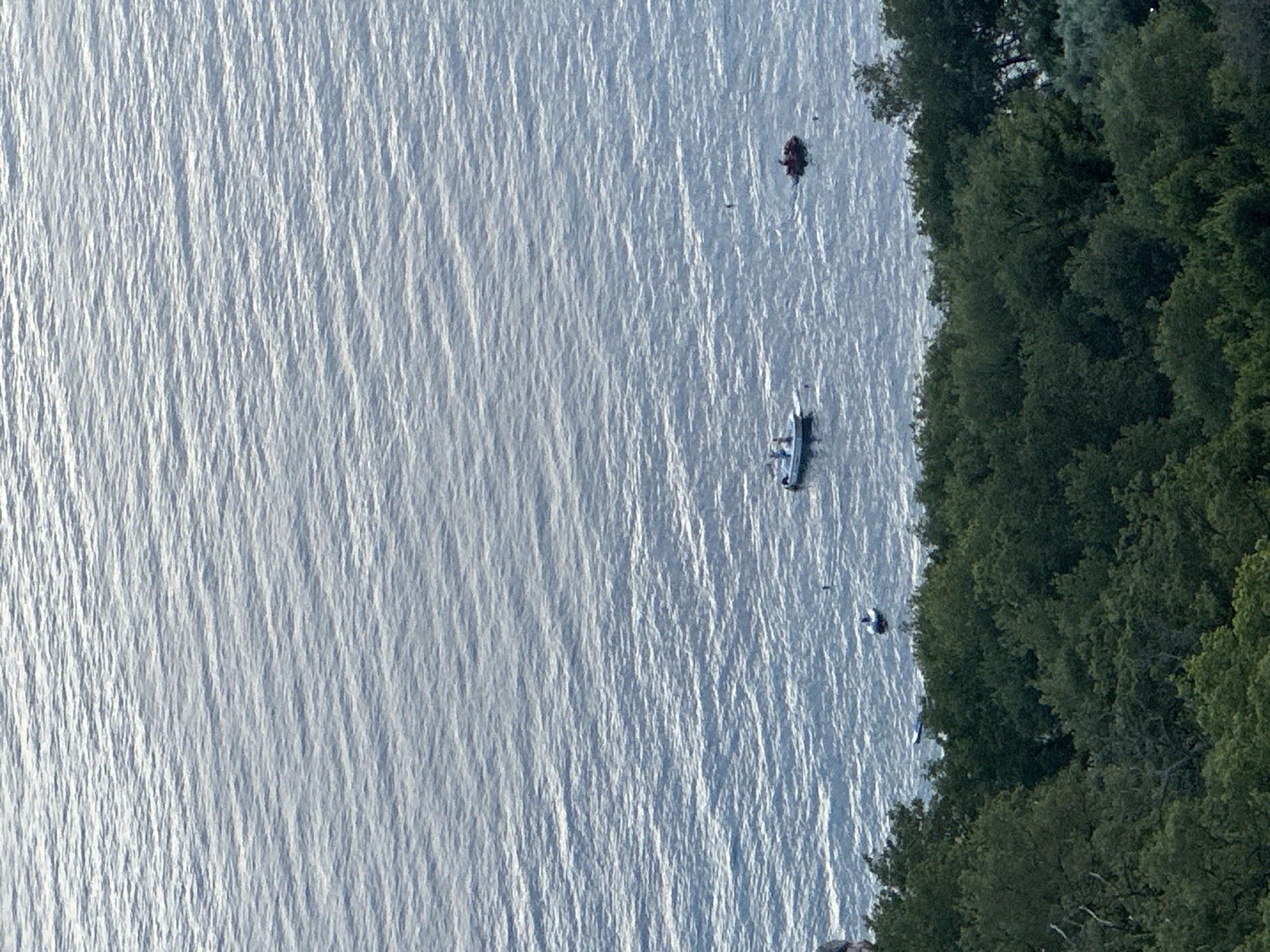 The image captures an elevated view of the coastline at Rijeka Reževići, Montenegro. The scene is divided into two primary zones: a calm body of water in the upper two-thirds and a dense, dark green forest covering the lower third. The water surface is characterized by subtle, uniform ripples and a bluish-grey tone.
On the water, a white motorboat with two visible occupants is positioned slightly left of center. To its right, a dark, possibly red, inflatable raft contains at least two individuals. Closer to the forested shore, a smaller, light-colored inflatable dinghy holds one person. Several smaller, dark objects, likely buoys or mooring points, are scattered across the visible water area. The forest, dense and verdant, extends along the bottom of the frame, indicating a sloping or cliffside terrain. A small, rocky formation is partially visible on the far left edge of the image, amidst the foliage.