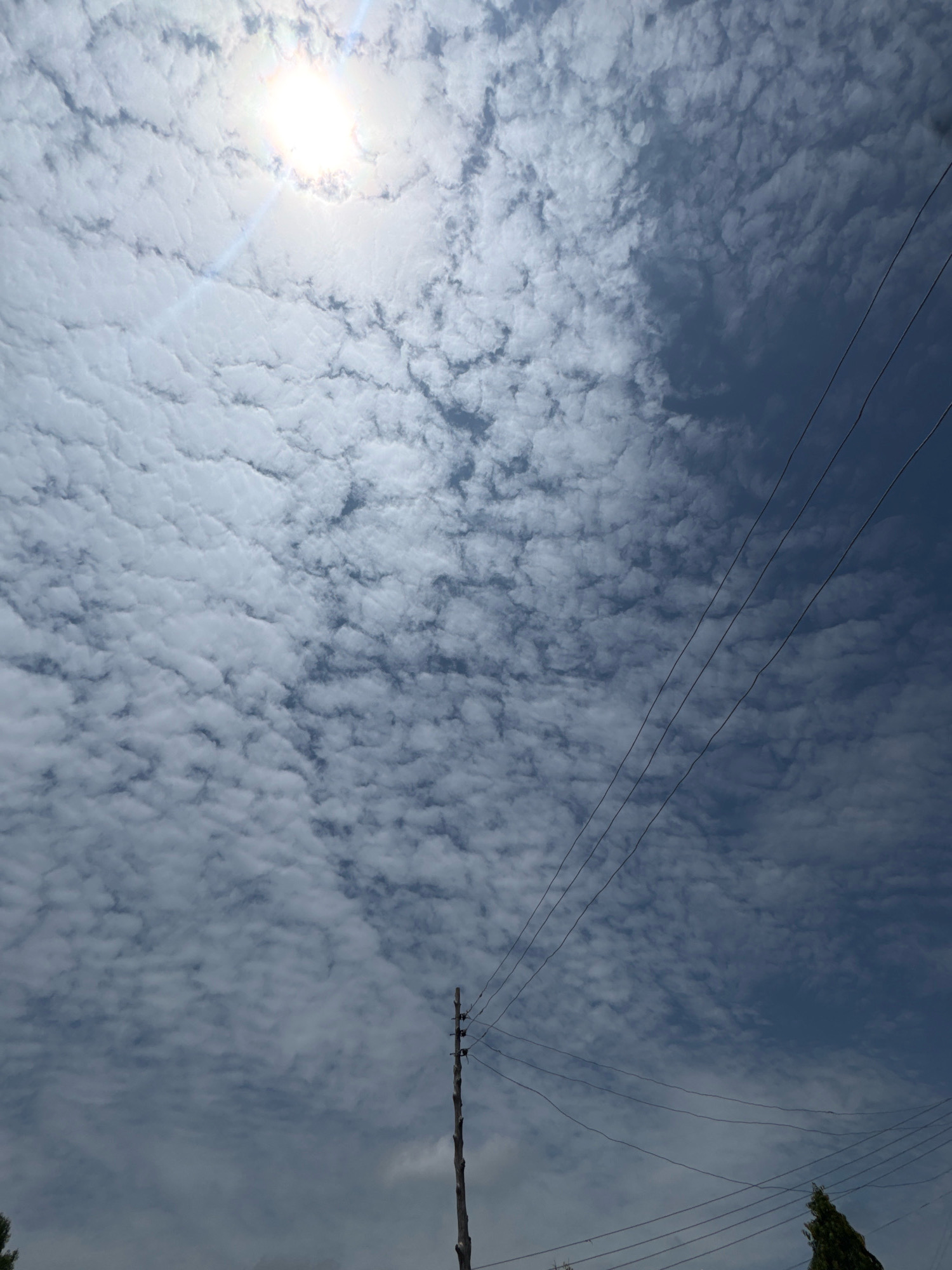 A low-angle, wide shot captures a sky filled with scattered white clouds against a deep blue background. The sun, a bright, almost white orb with a rainbow-like lens flare, is visible in the upper left quadrant. Three parallel power lines stretch diagonally across the right side of the frame, originating from a weathered wooden utility pole positioned slightly right of the center of the lower half. The pole appears to be made of rough-hewn wood and has insulators attached to it. In the bottom right corner, the top of a dark green evergreen tree is visible. The scene is devoid of people or any discernible activity, focusing solely on the natural elements and man-made infrastructure. The overall impression is one of a bright, partly cloudy day, with a sense of distance and elevation.