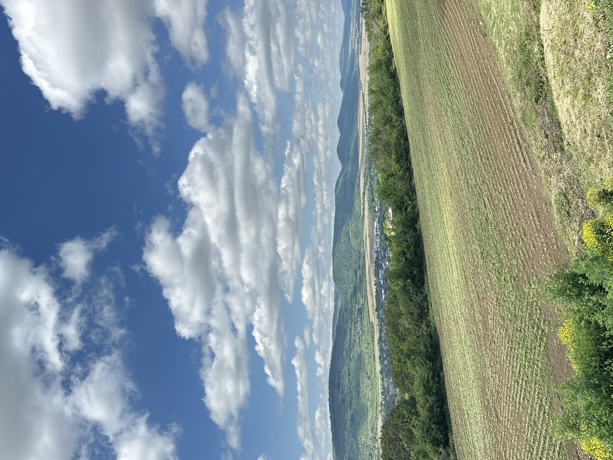 The image shows a view of the Bulgarian landscape near the village of Ledenik. A field occupies the right side of the frame, marked with rows indicating cultivated land. A line of trees separates the field from a valley with a visible village extending along the valley floor. Beyond the village, a range of hills is visible. The left side of the frame features a bright blue sky populated with numerous fluffy white clouds.