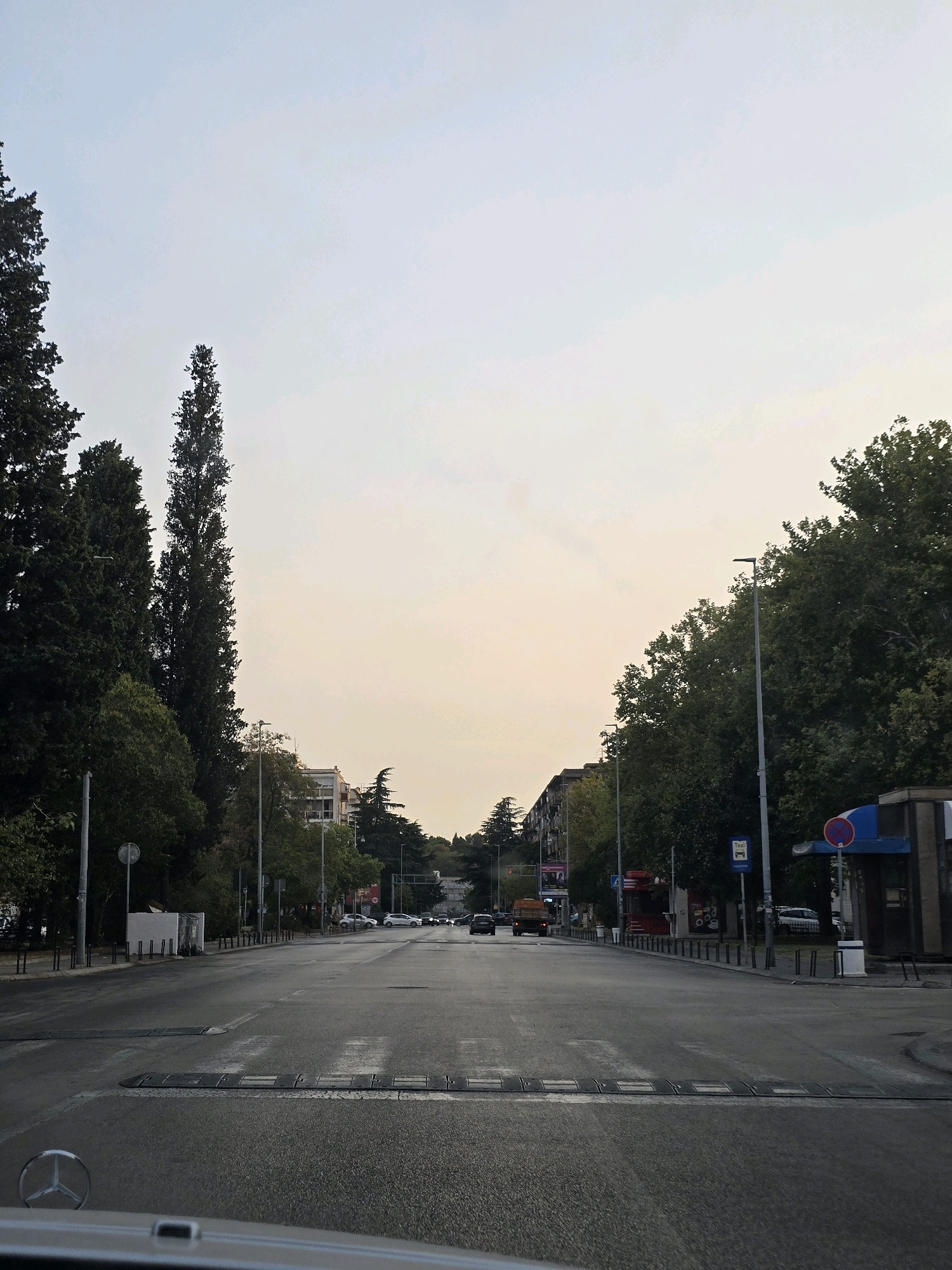 The image captures a street scene in Podgorica, Montenegro, likely during dusk or early morning given the soft, diffused light. A wide asphalt road stretches into the distance, marked with pedestrian crossings and speed bumps. Tall, slender cypress trees line the left side of the road, interspersed with other deciduous trees and some residential or commercial buildings visible in the background. On the right side, more trees and buildings are present, including what appears to be a bus stop shelter with signage and a small kiosk. Several vehicles, including cars and a truck, are present on the road, suggesting moderate traffic. The sky is pale and overcast. The perspective is from inside a vehicle, with the hood and a Mercedes-Benz emblem visible in the foreground.