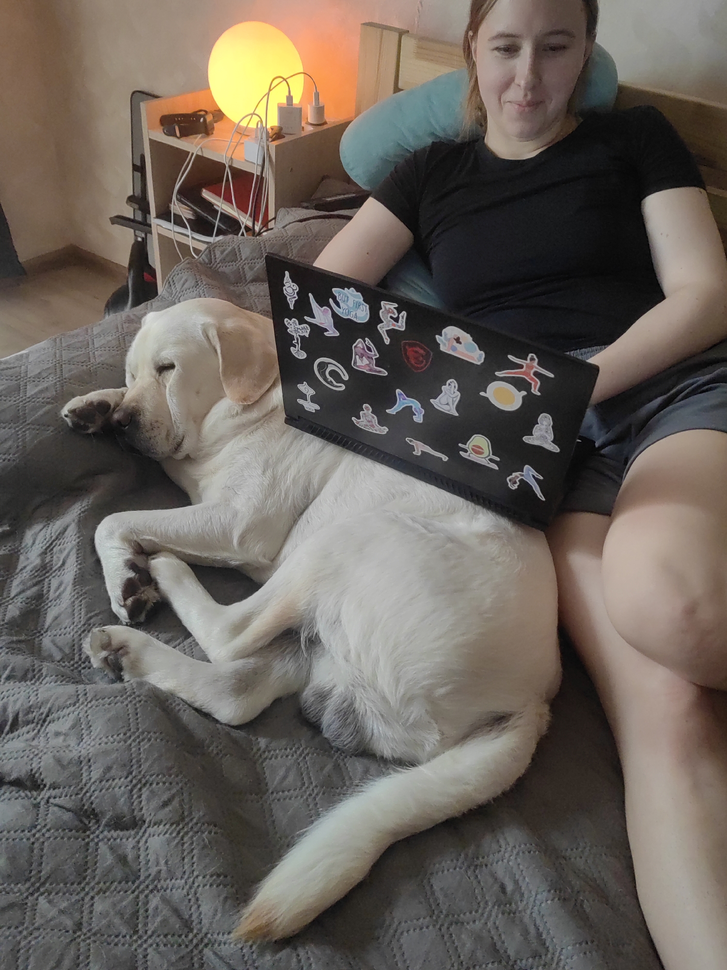 The image shows a woman sitting on a bed with a labrador dog lying next to her. The woman is fair-skinned with shoulder-length brown hair and is wearing a black t-shirt and grey shorts. She is using a black laptop, which is resting partly on the dog. The laptop is covered with stickers. The dog is light yellow, sleeping on its side on a grey quilted bedspread. A bedside table with a round lamp and charging cables sits to the left of the bed. The location is Mytishchi, Russia.