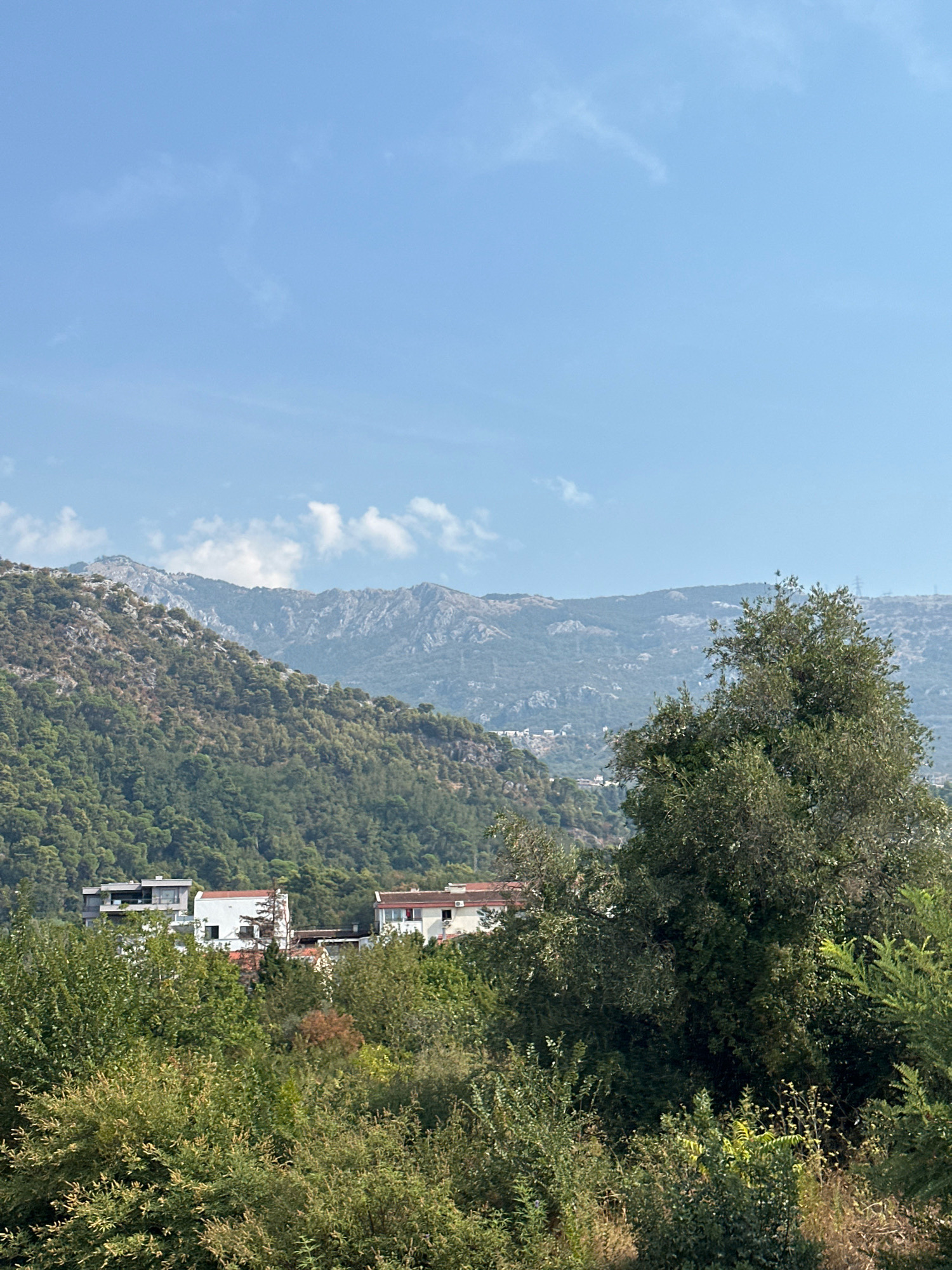 The image shows a view of the Budva area in Montenegro. In the foreground, lush green foliage of various trees and bushes creates a dense natural barrier. Behind the foliage, three modern buildings with white facades and red-tiled roofs are visible. The buildings are nestled on a hillside covered in greenery. Further in the background, a majestic mountain range stretches across the horizon, with its rocky peaks catching the sunlight under a clear blue sky dotted with a few wispy clouds. The overall scene depicts a harmonious blend of nature and architecture in a mountainous coastal region.