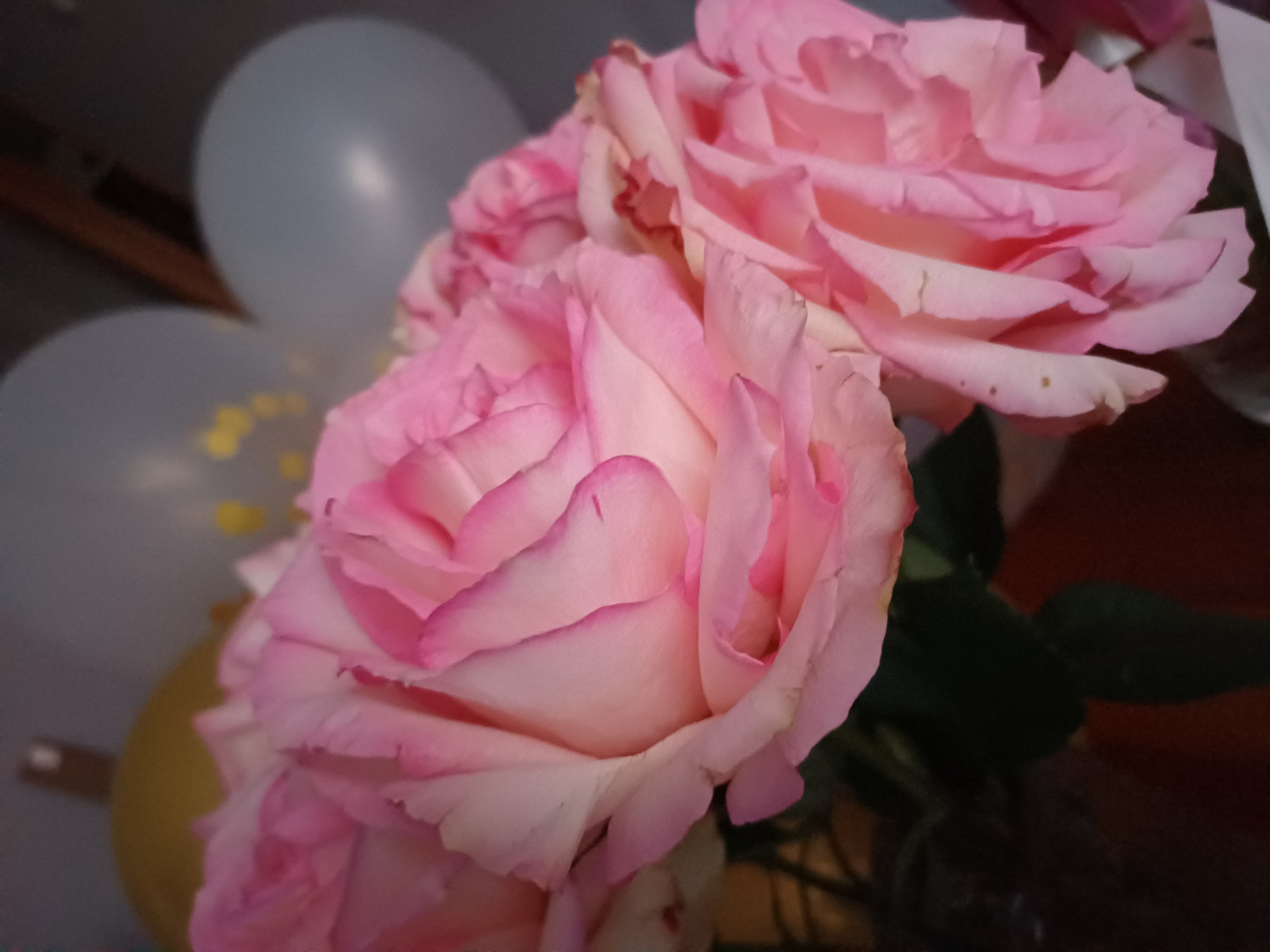 A close-up shot captures a bouquet of pink roses with white edges, their petals softly layered. In the blurred background, several balloons are visible, one appears yellow, and two are light gray. The scene is dimly lit, creating a muted atmosphere. The image does not provide any information about a specific location, city, or state.