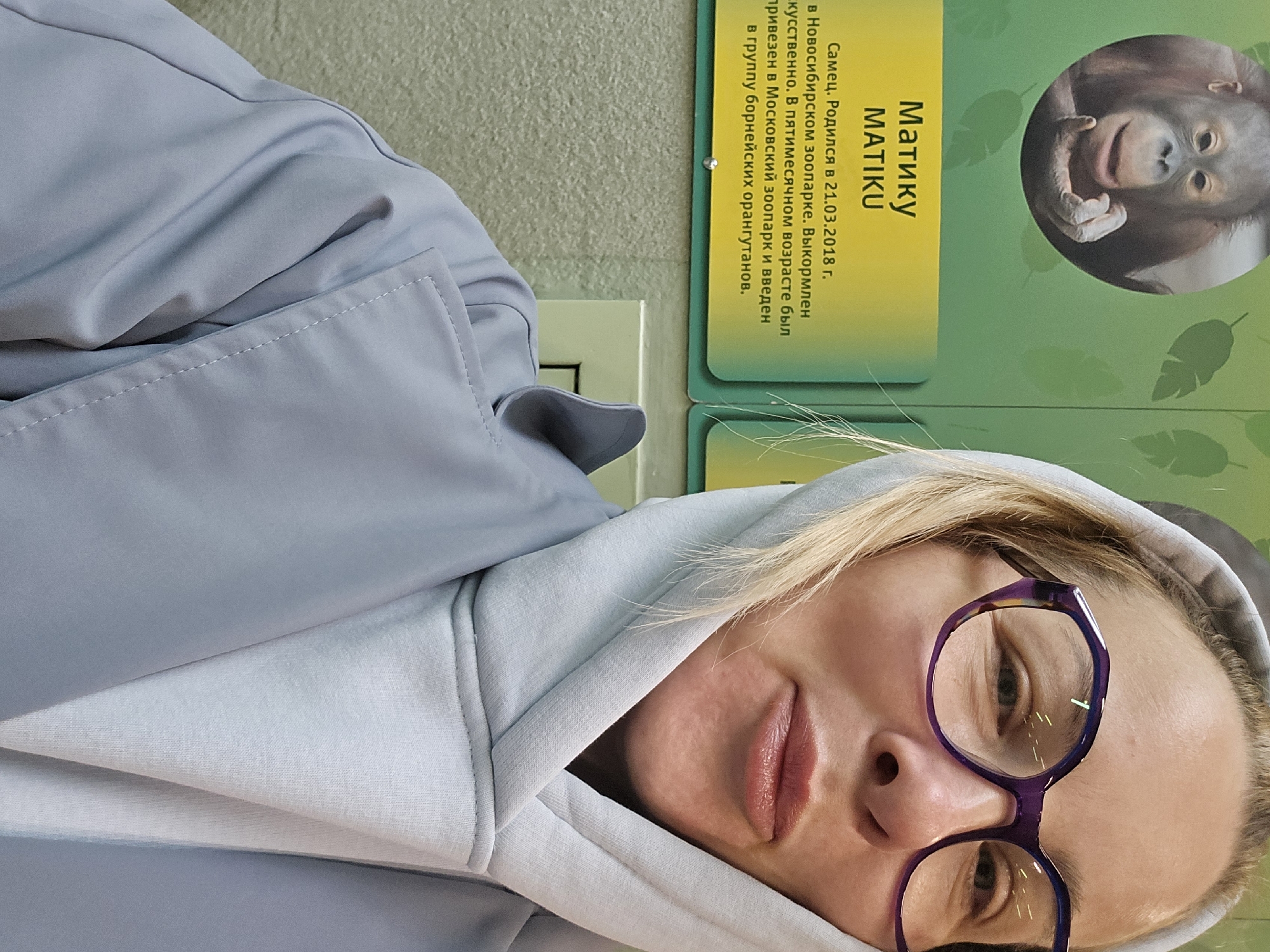 The image shows a woman wearing purple glasses and a gray hoodie, lying down next to a sign about an orangutan named Matiku. The sign says Matiku was born on March 21, 2018, in the Novosibirsk Zoo and was brought to the Moscow Zoo at five months old. Based on the sign's information about the orangutan's location, it can be inferred that the picture was taken in the Moscow Zoo, in Moscow, Russia.