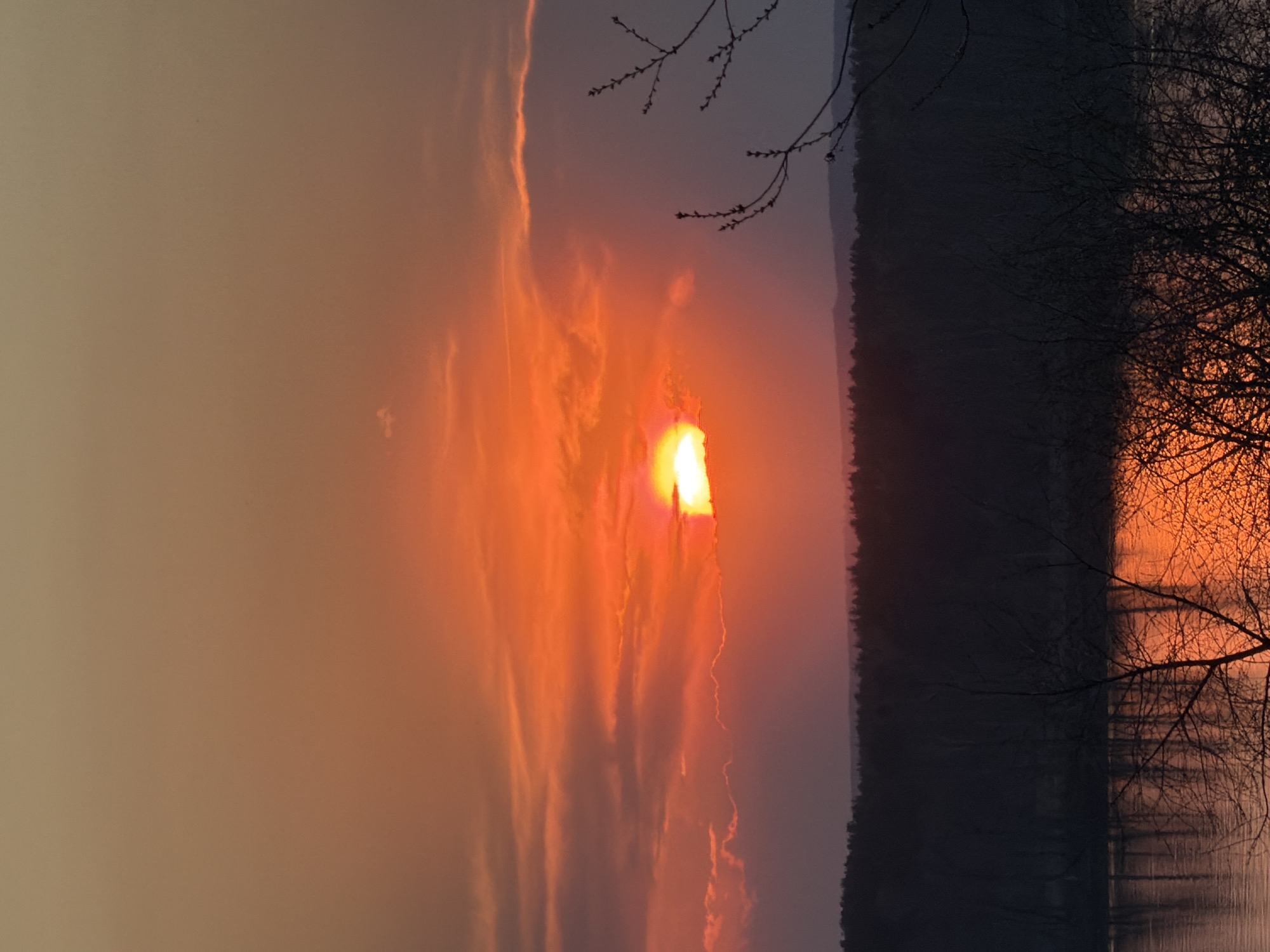 The image depicts a sunset over a body of water, likely a river or lake, in the city of Chaikovsky, Russia. The sun is a bright orange orb, partially obscured by thin clouds that stretch vertically across the frame. The sky transitions from a pale yellow on the left to a vibrant orange and red closer to the sun. A dark, silhouetted forest line borders the water's edge. In the foreground on the right, bare tree branches extend into the frame, their intricate forms adding a layer of detail against the colorful sky and water. The water's surface reflects the orange glow of the sunset, creating a mirror effect.