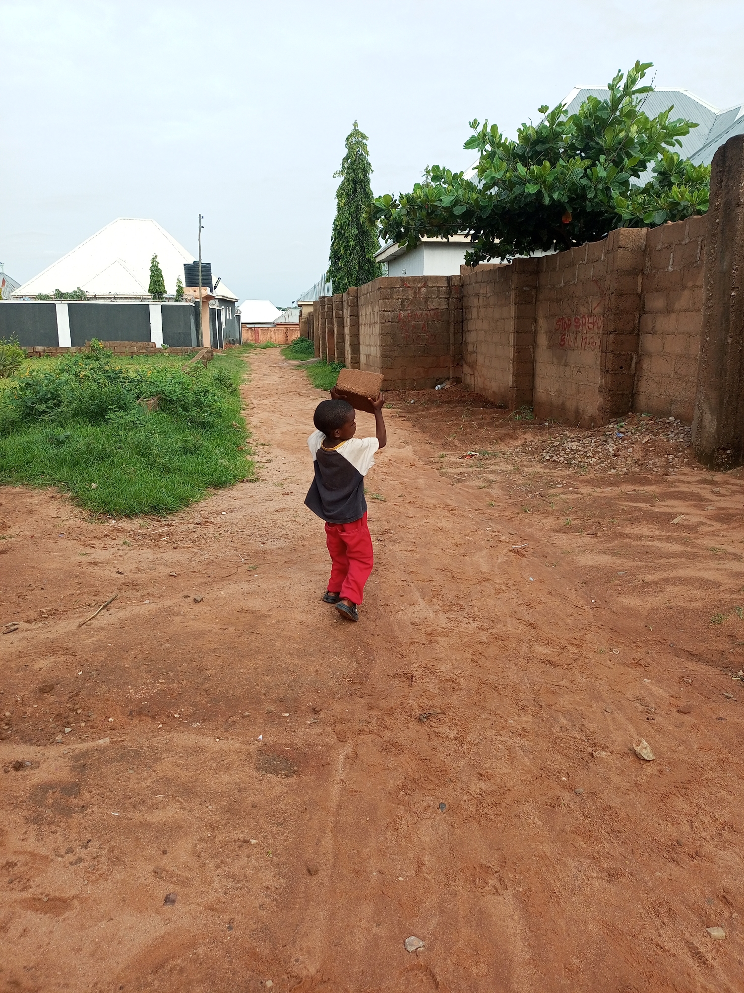 A young boy, wearing a black and white shirt and red pants, walks on a dirt road in Tempure, Nigeria, carrying a rectangular object on his head. The road is flanked by a grassy area on the left and a brick wall on the right. In the background, houses with white roofs are visible, along with trees and a tall, thin evergreen tree. The sky is overcast.
