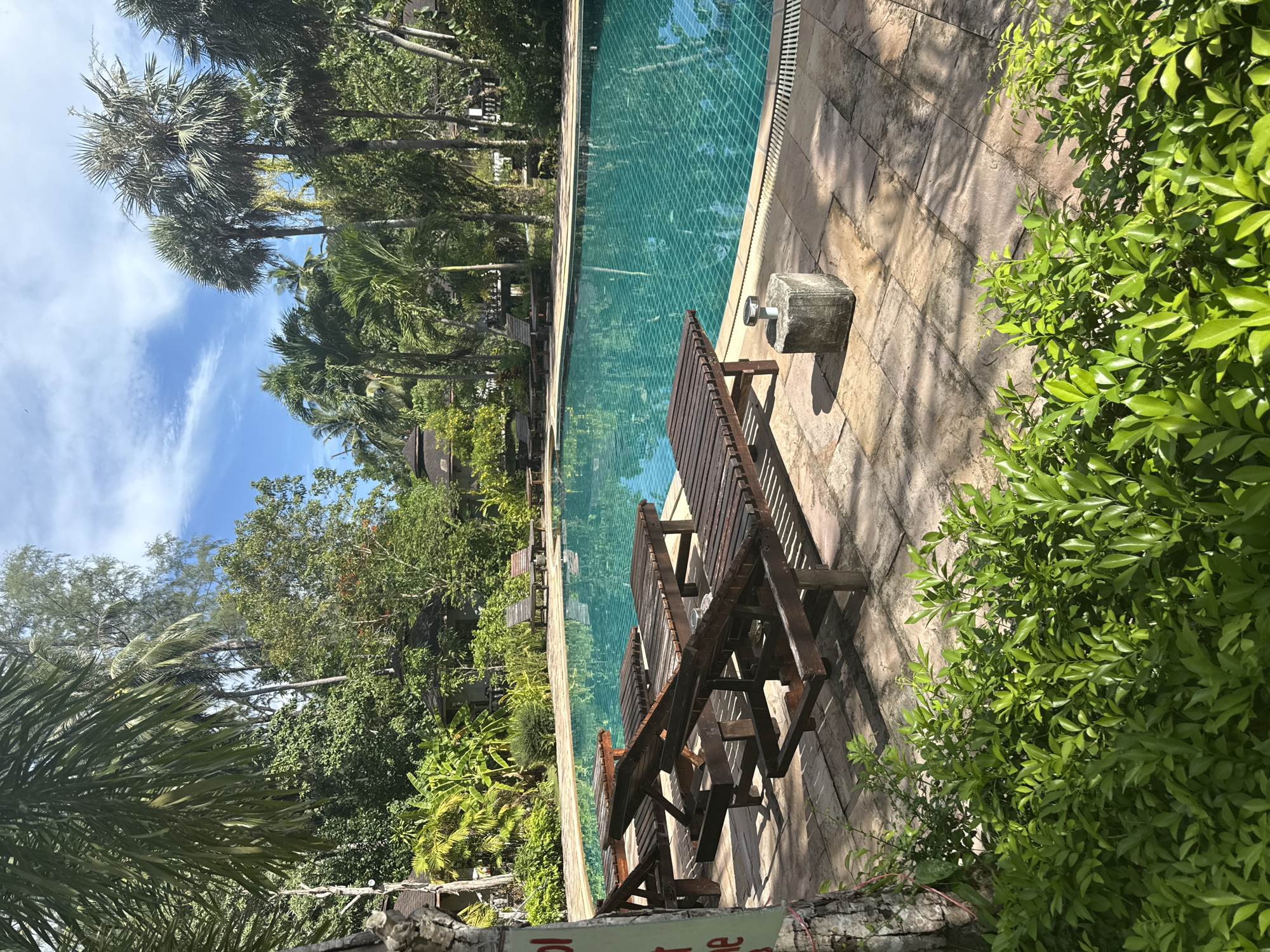 A serene outdoor swimming pool area is depicted, likely in Koh Phangan, Thailand. The pool itself is a vibrant turquoise, with a visible tiled bottom, suggesting a clear and inviting body of water. Surrounding the pool is a paved walkway made of large, light-colored tiles, which show some patterns of light and shadow from overhead foliage. Several dark wooden lounge chairs are positioned on the paved area, some reclined and unoccupied, ready for use. In the foreground, lush green foliage forms a dense hedge, adding to the tropical ambiance.
Beyond the pool, the scene is dominated by abundant tropical vegetation, including tall palm trees with feathery fronds and other dense green trees, indicative of a warm, humid climate. The backdrop features parts of resort-style buildings with dark, sloped roofs, characteristic of structures designed to blend with a natural environment. The sky above is a bright blue with scattered white clouds, suggesting a sunny day. A small, light-colored concrete block with a metallic fixture sits on the edge of the pool, possibly a base for a light or other pool accessory. A portion of a tree trunk, with peeling bark, is visible on the left side, with a red sign partially attached to it. The overall impression is one of a tranquil, tropical resort setting.